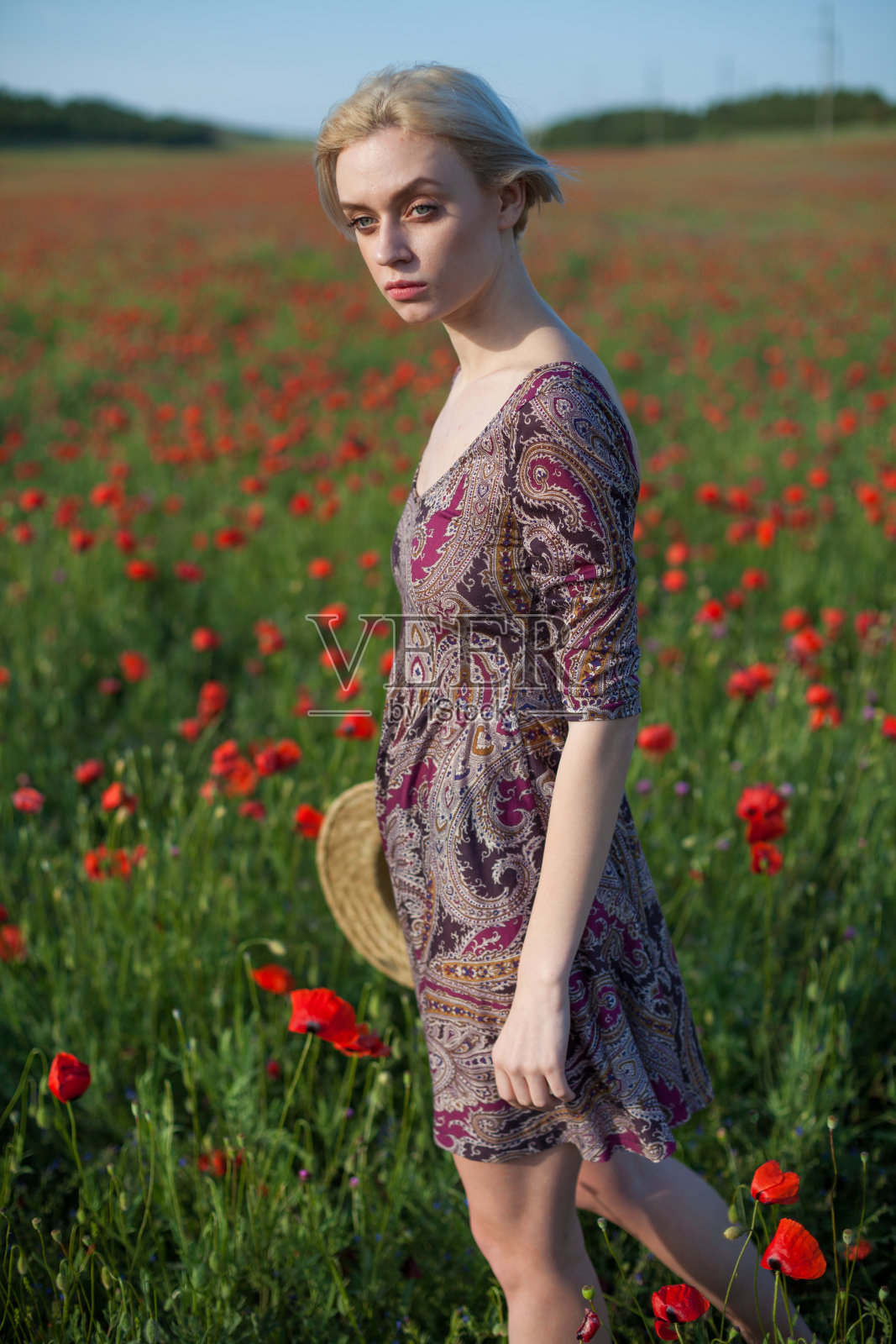 一个美丽的时尚女人的肖像在一片红色的罂粟照片摄影图片