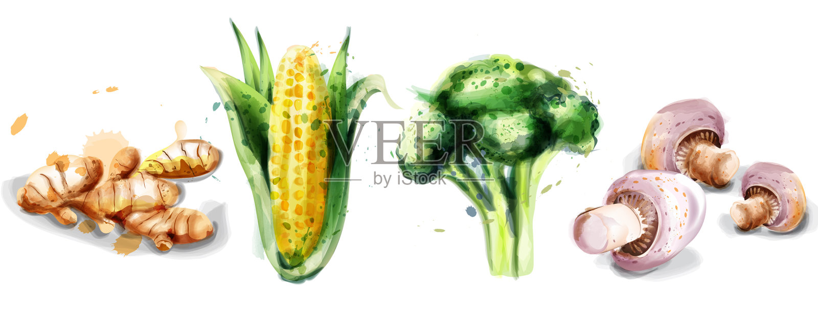 蔬菜水彩画集设计元素图片