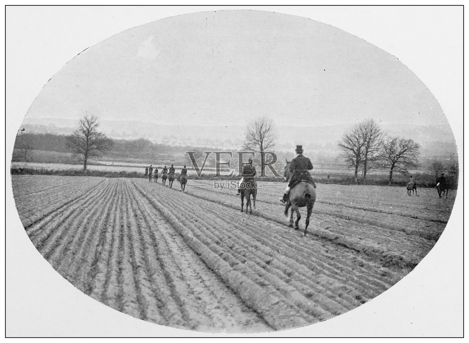 19世纪运动、运动员和休闲活动的老式黑白照片:狩猎、照片摄影图片
