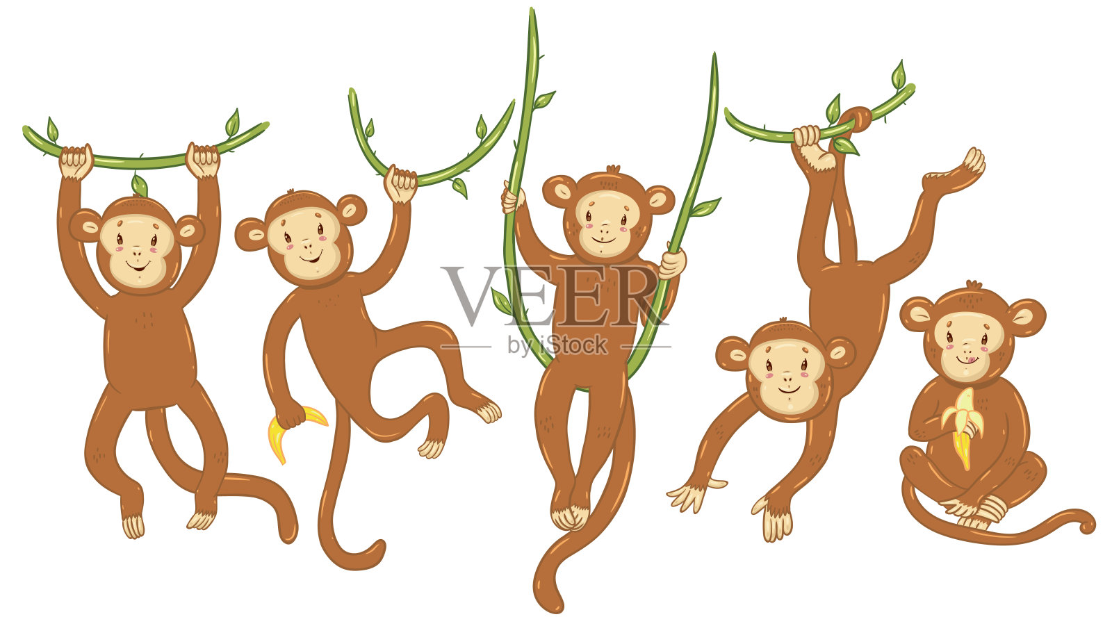 一组可爱的猴子孤立在一个白色的背景。矢量图形。插画图片素材