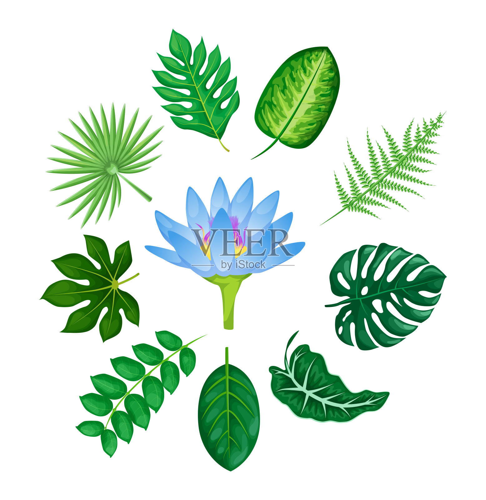 热带花和叶收集媒介隔离插画图片素材
