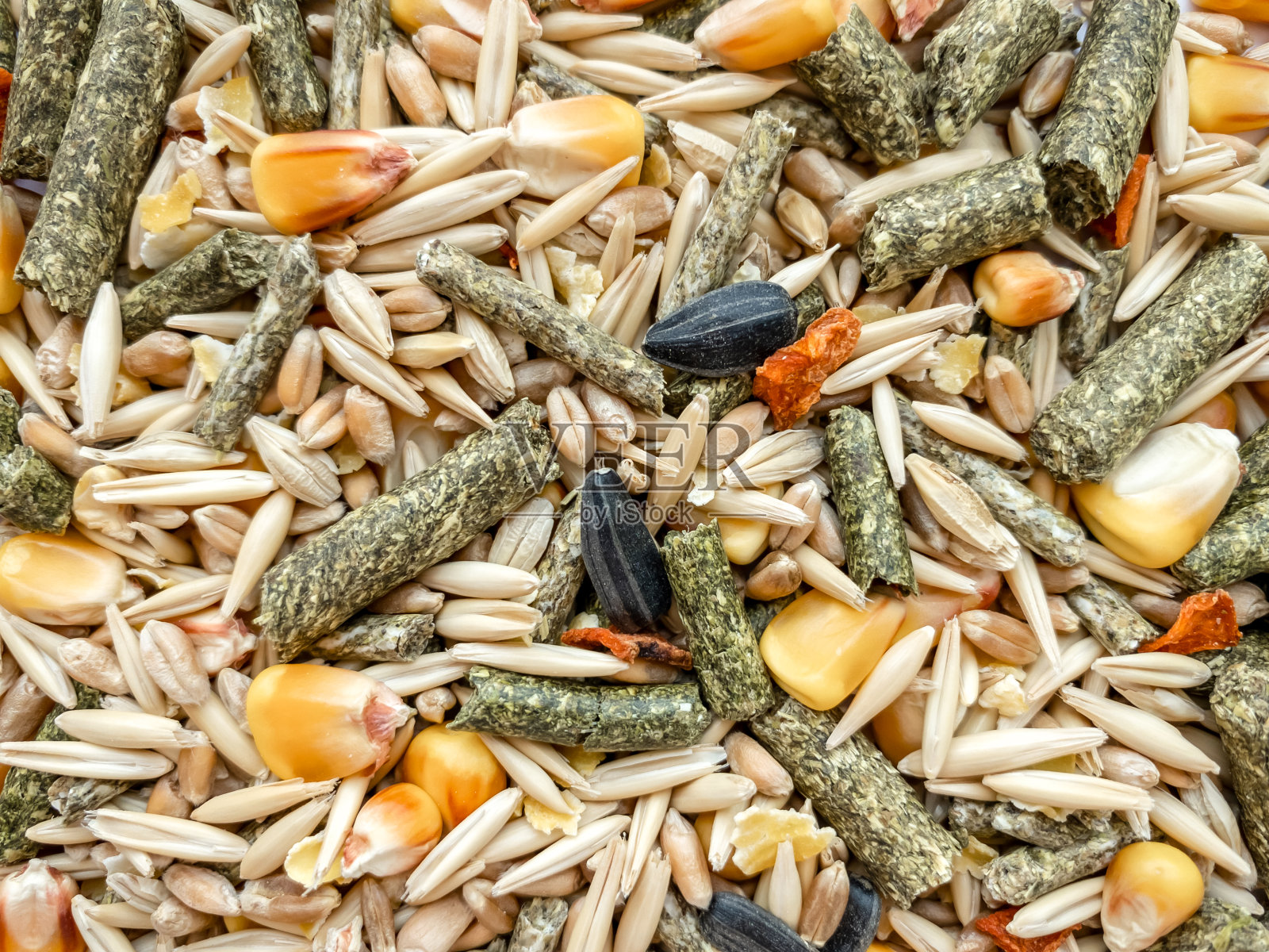 啮齿动物食物的质地来自燕麦、草粒、动物饲料、玉米、小麦。照片摄影图片