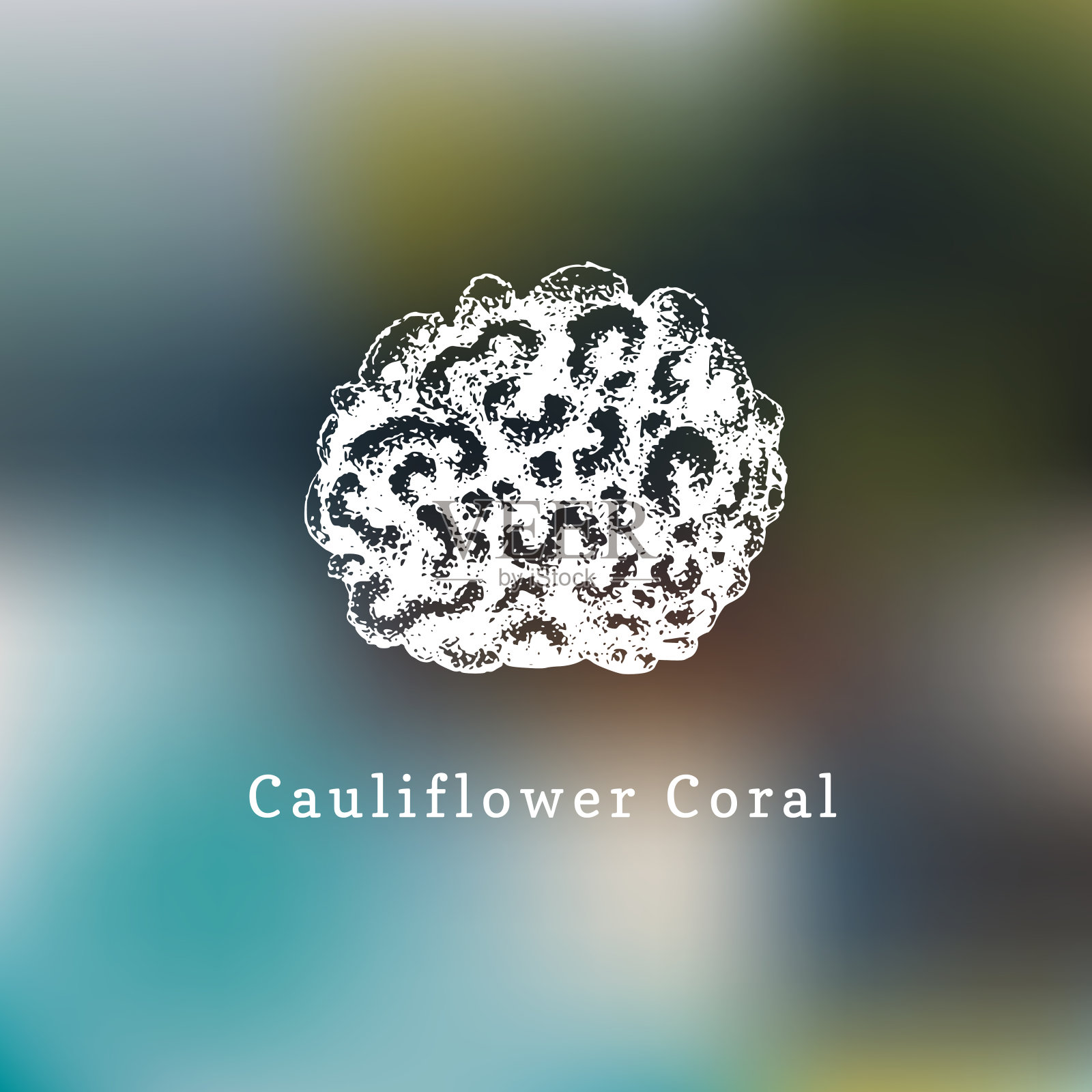 菜花珊瑚矢量插图。在模糊的背景上绘制海息肉。插画图片素材