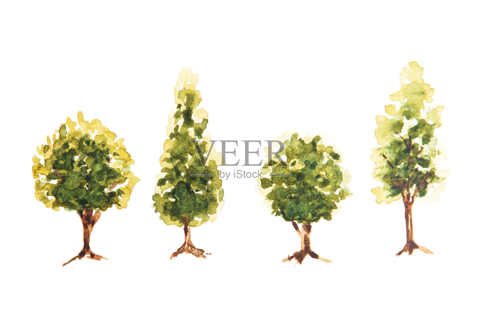 绿树的水彩画孤立在白色的背景。插图的树木。设计元素图片