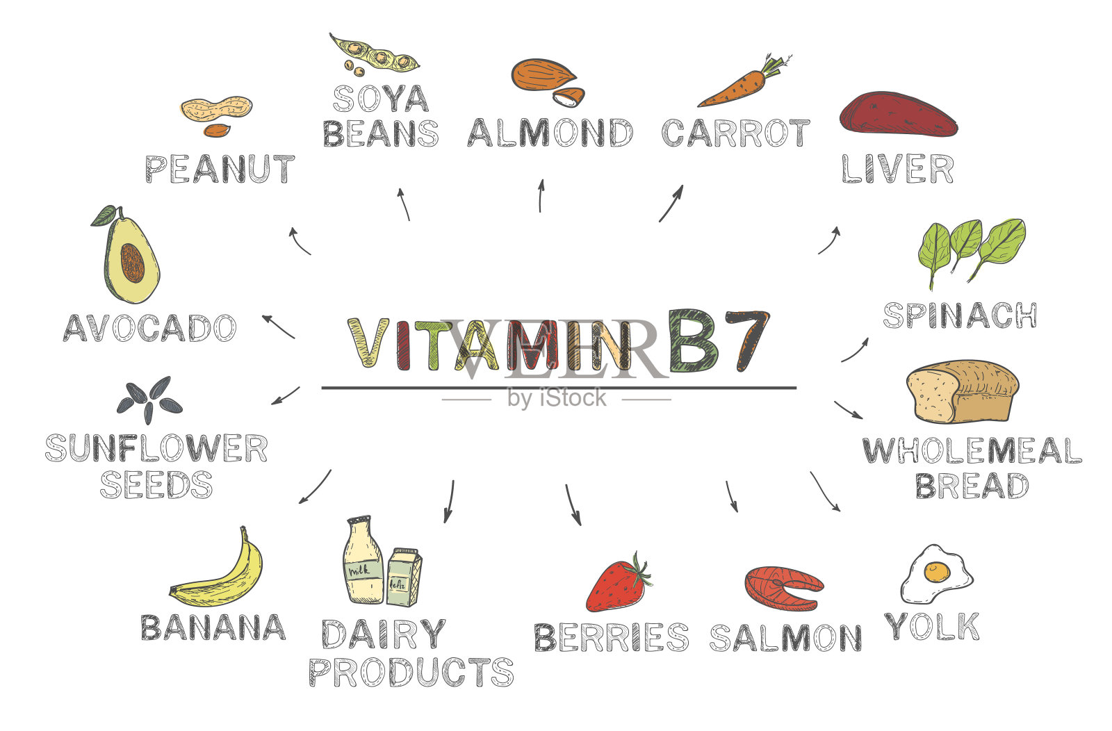 核黄素(生物素)。富含b7的食物，天然产物，白色背景的水果，蔬菜插画图片素材