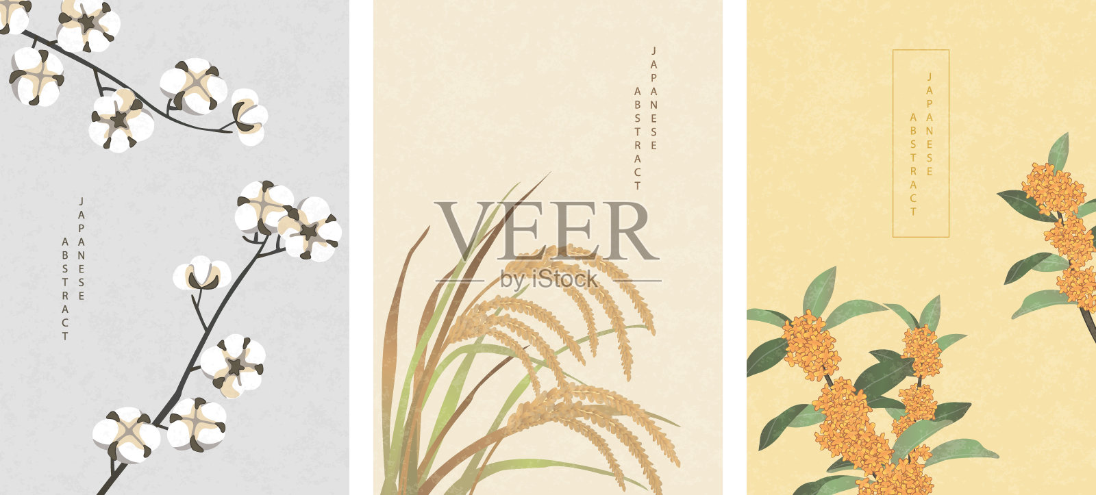东方日式抽象图案背景设计自然植物棉穗水稻和桂花插画图片素材