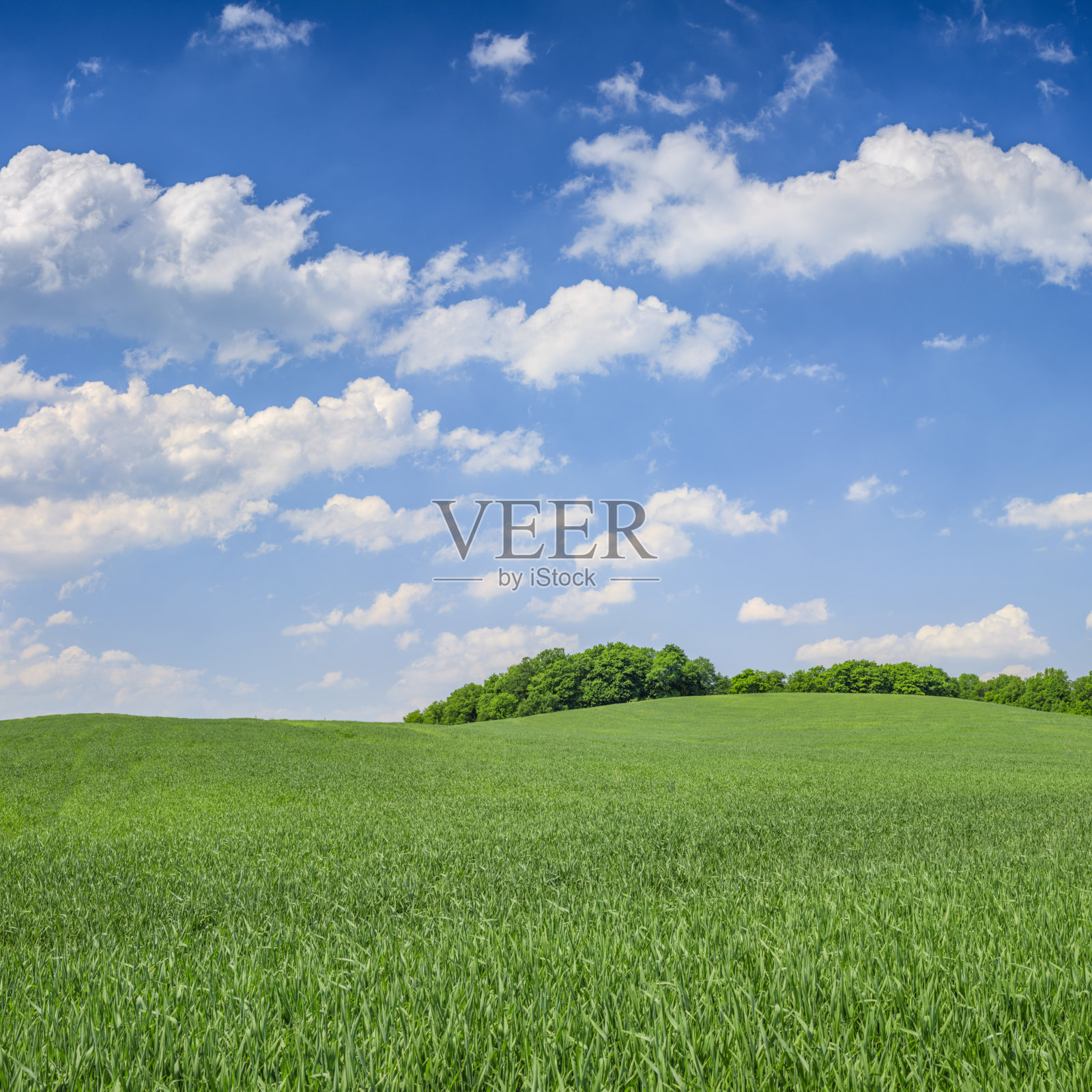全景春天景观，绿色的田野，蓝色的天空照片摄影图片