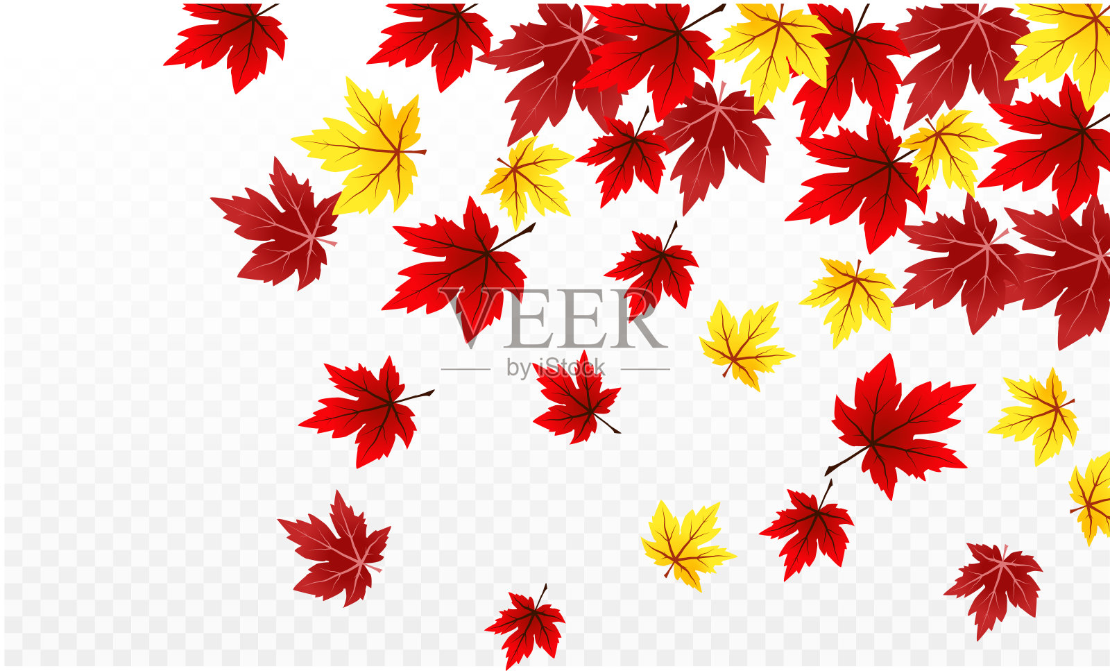 秋天的枫叶插画图片素材