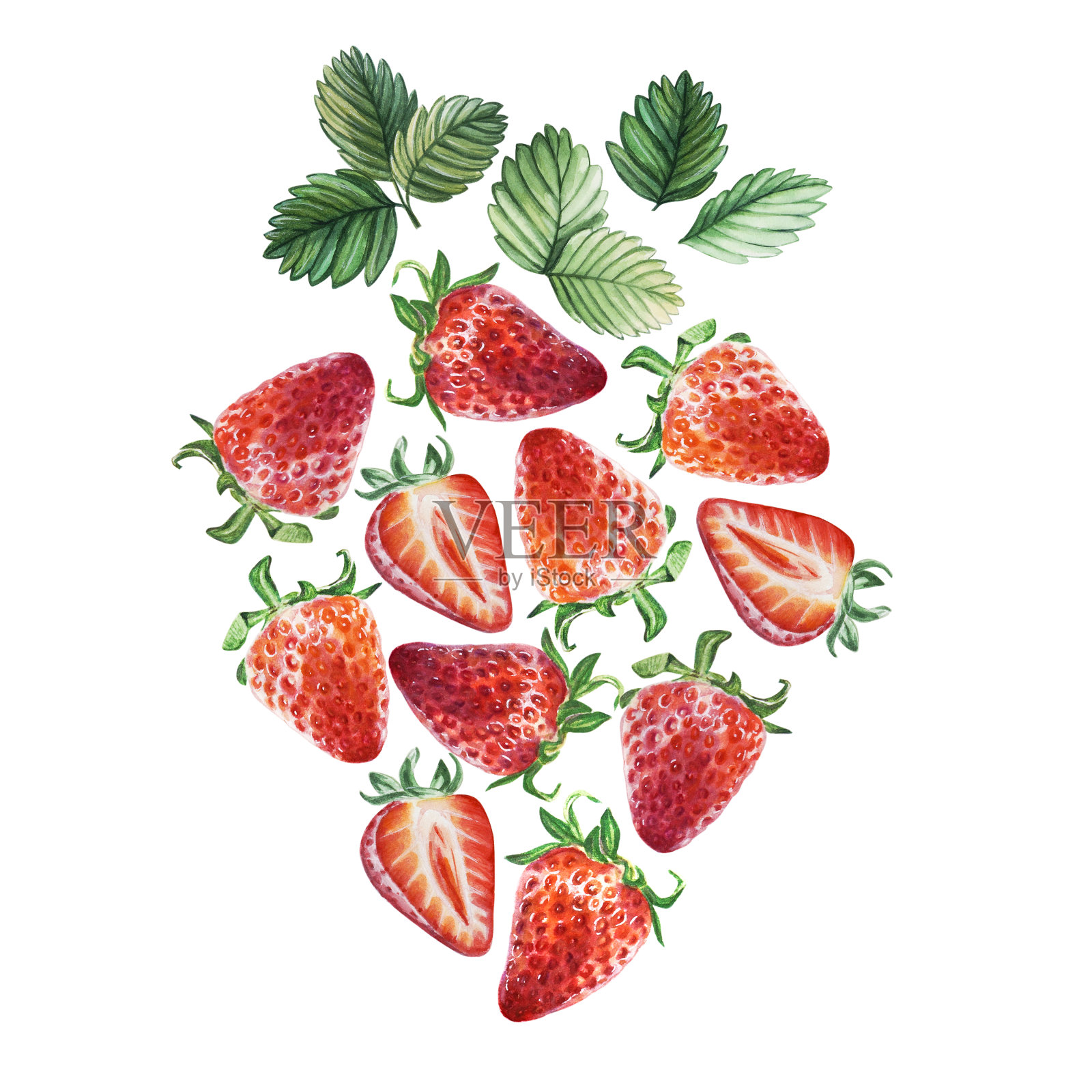 水彩草莓，红色多汁的浆果，一半和叶子。手绘食物插图。水果打印。插画图片素材
