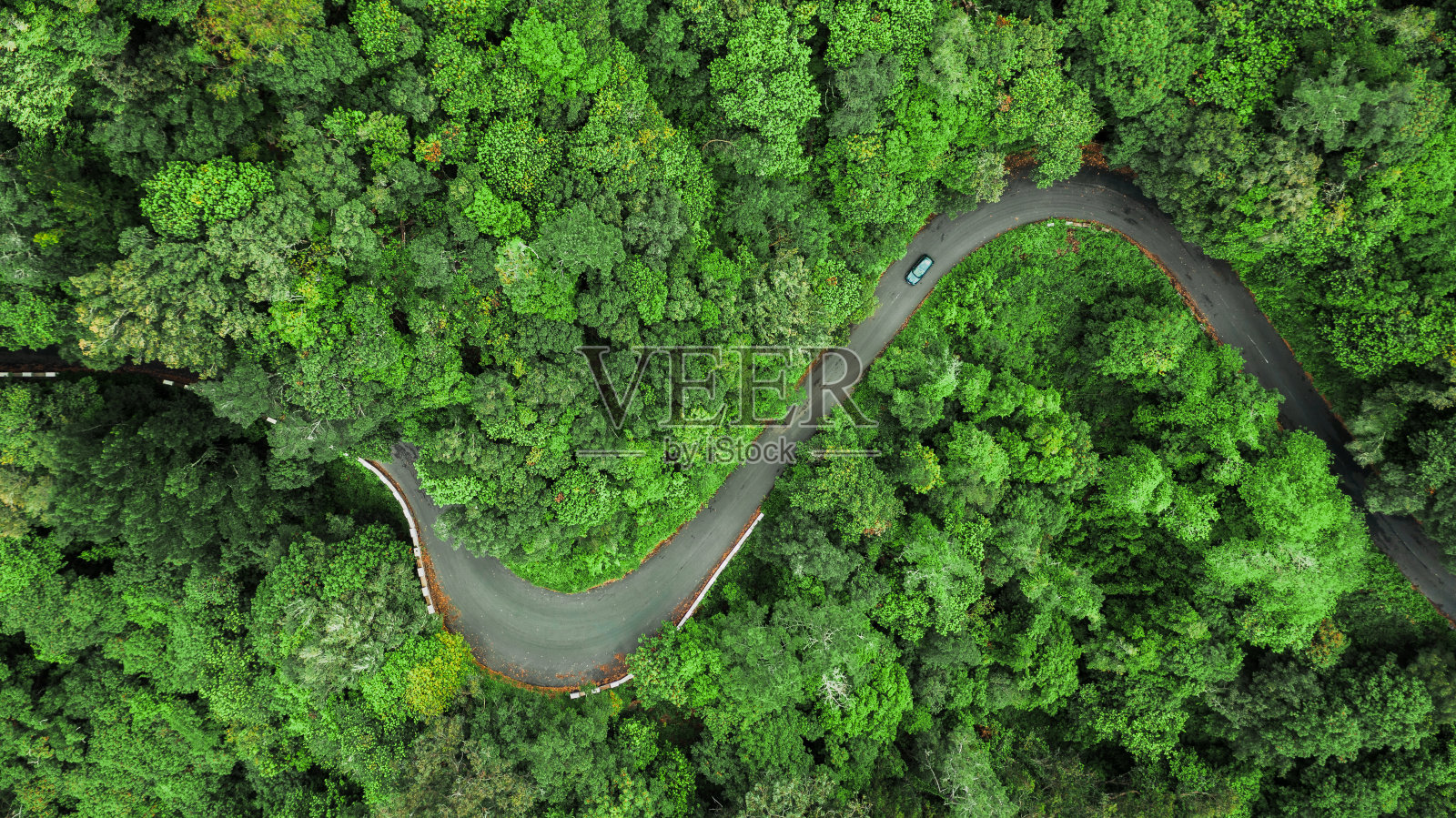 鸟瞰图蜿蜒的道路槽茂密的树林在恩库梅达，Ribeira Brava，马德拉岛的高山上。照片摄影图片