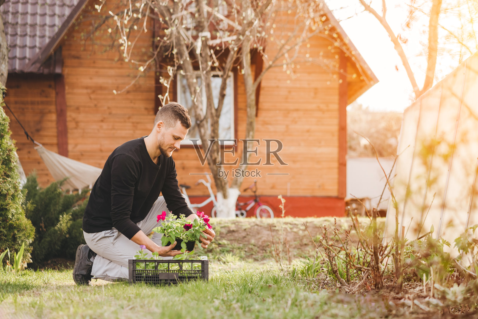一个年轻人在花园里种花。照片摄影图片