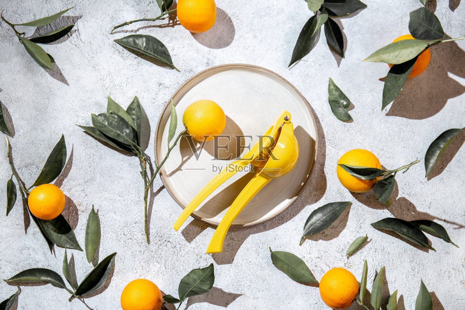 整个橙子与橙树叶子周围盘和榨汁机俯视图，平躺，夏季和健康的概念照片摄影图片