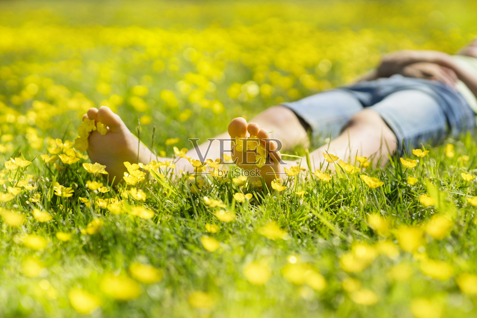 在夏日的阳光下，孩子们在长满毛茛的草地上休息照片摄影图片