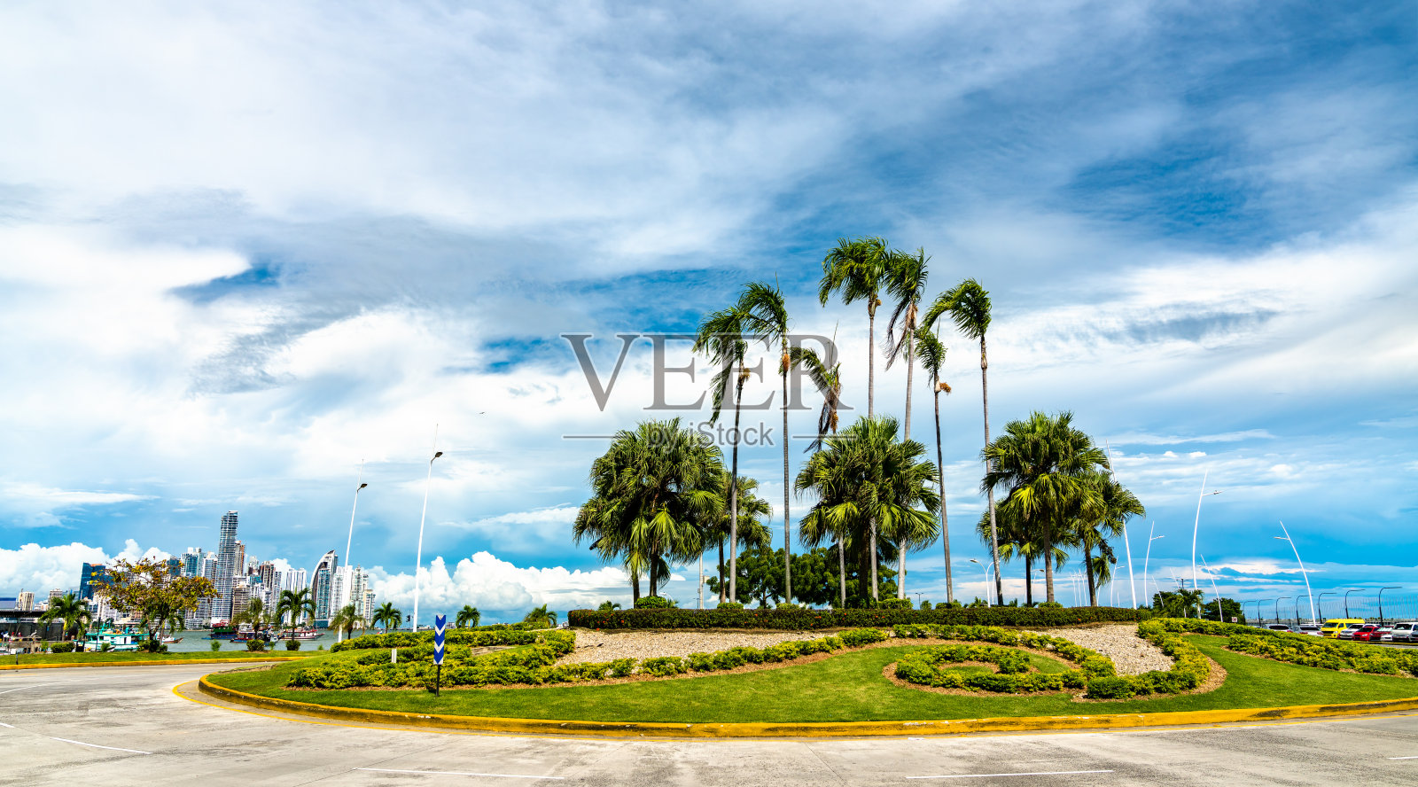 巴拿马城一个环形路口的棕榈树照片摄影图片