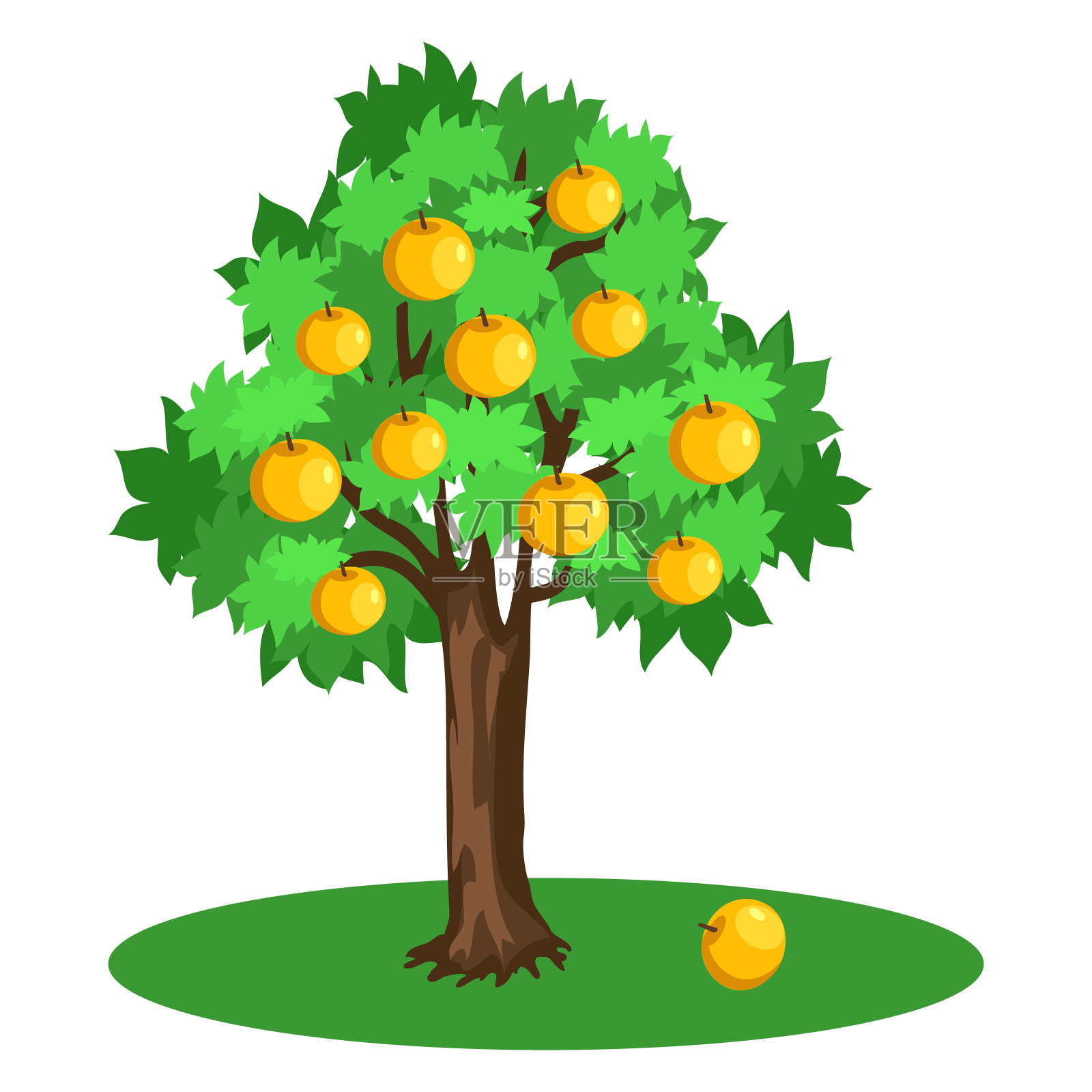 苹果树，绿色的叶子和黄色的果实设计元素图片