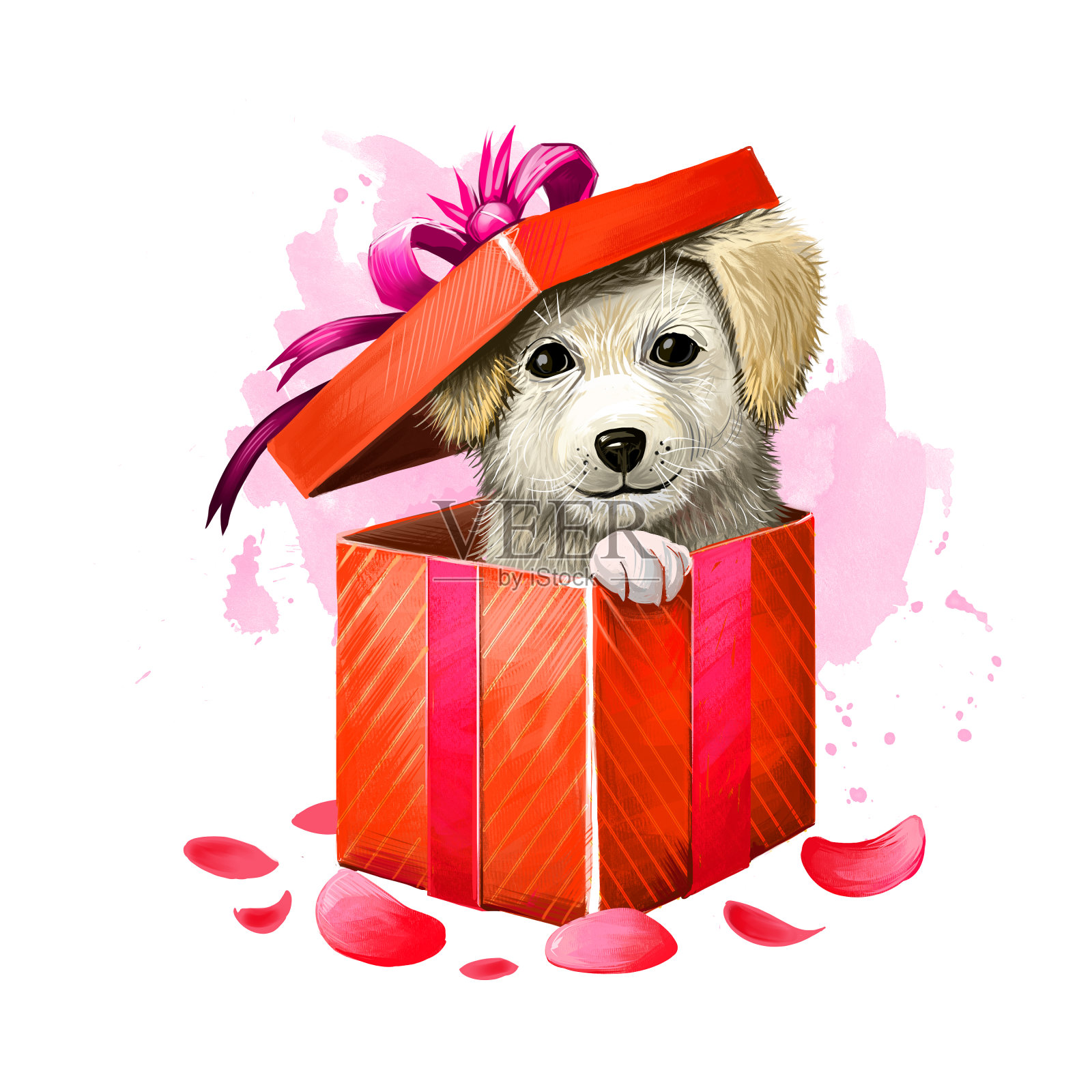 数码插图的可爱的小狗在礼盒。漂亮的礼物在红色包装纸和紫色丝带蝴蝶结，玫瑰花瓣。情人节贺卡设计模板网页和打印快乐。插画图片素材