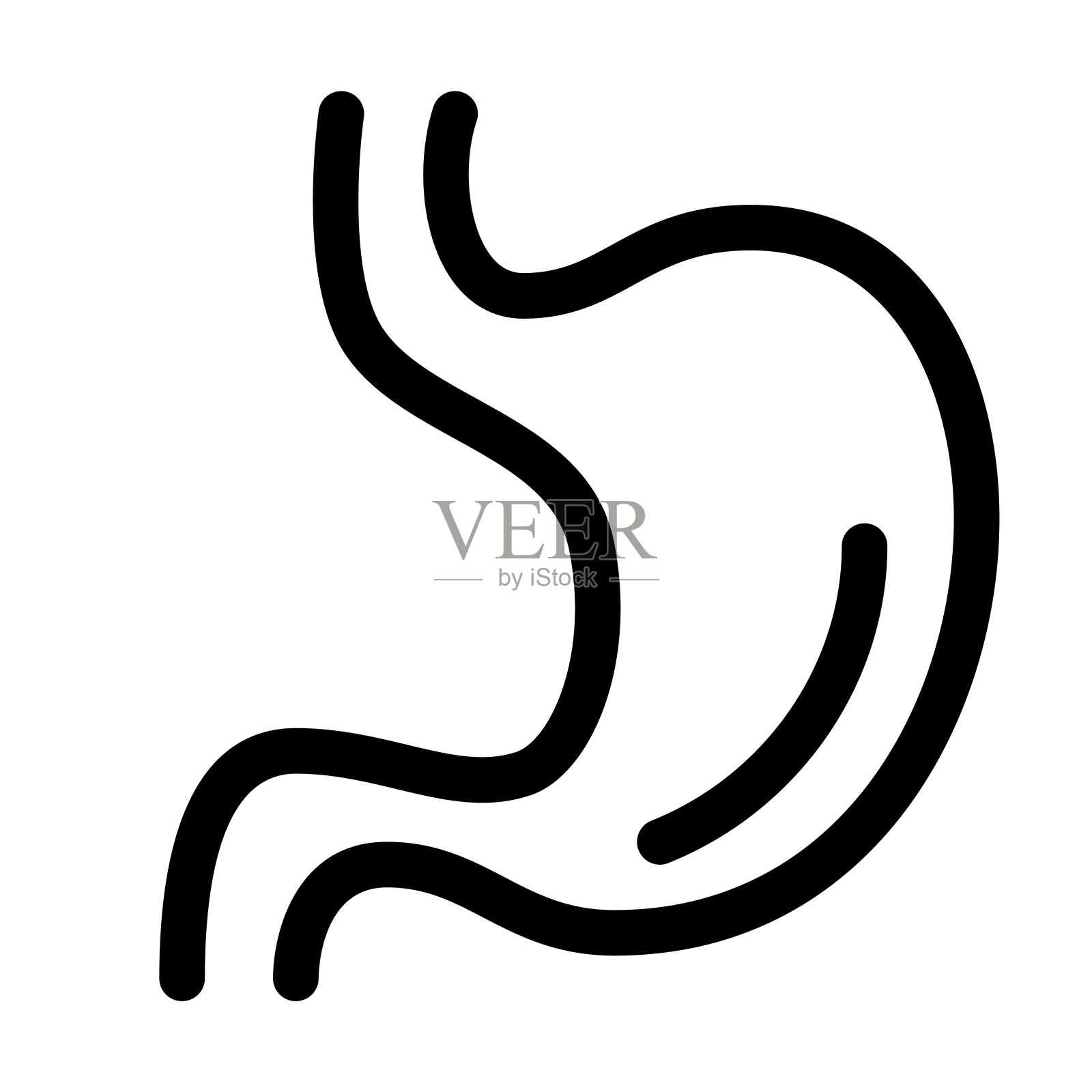 胃器官线图标。胃的符号或符号插画图片素材