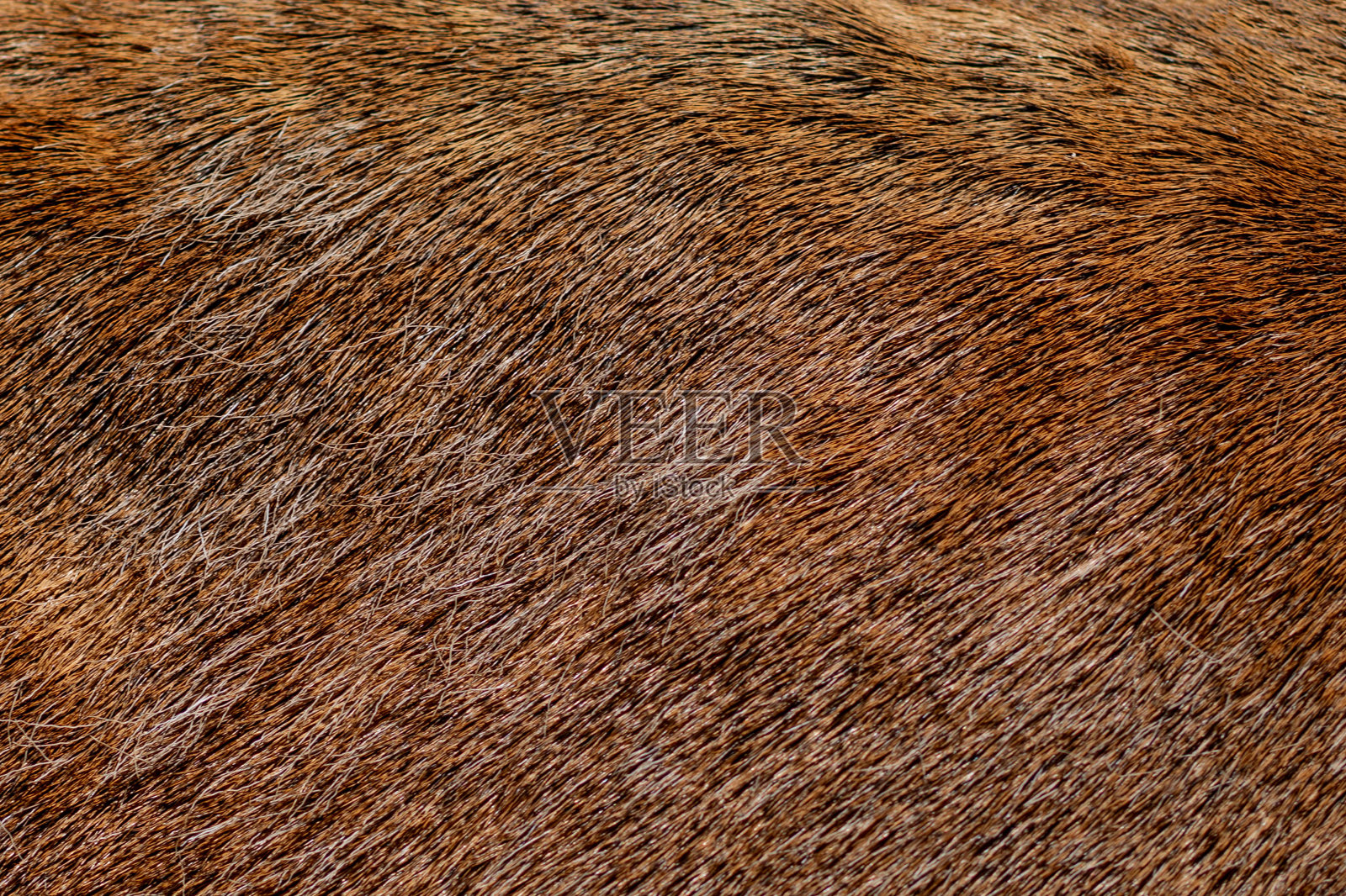 棕色鹿皮用作背景图像照片摄影图片