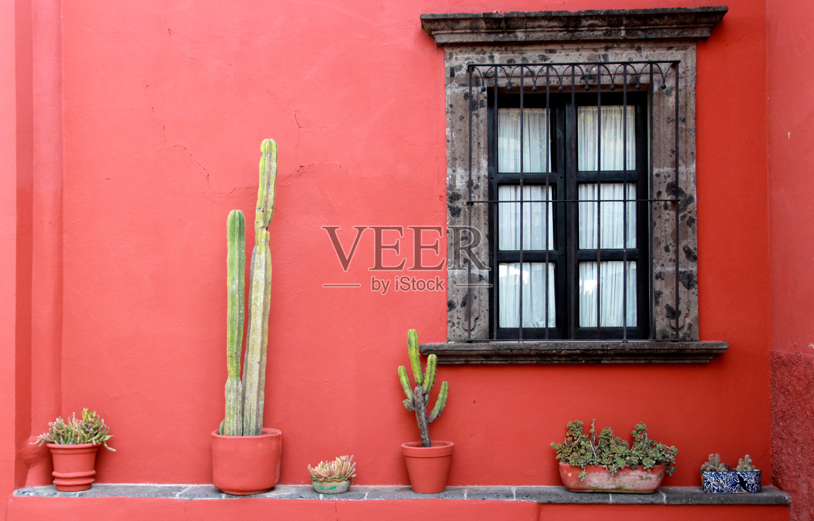 带有装饰建筑和传统墨西哥植被的房子照片摄影图片