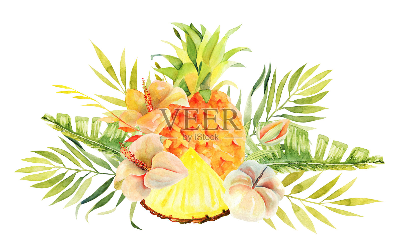 水彩整个菠萝和切片，异国情调的花和热带叶子，孤立的插图在白色的背景插画图片素材