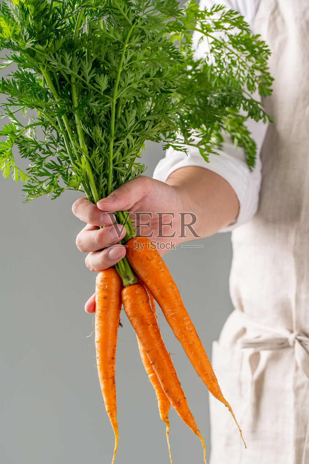 男人手里拿着一把新鲜的胡萝卜。照片摄影图片