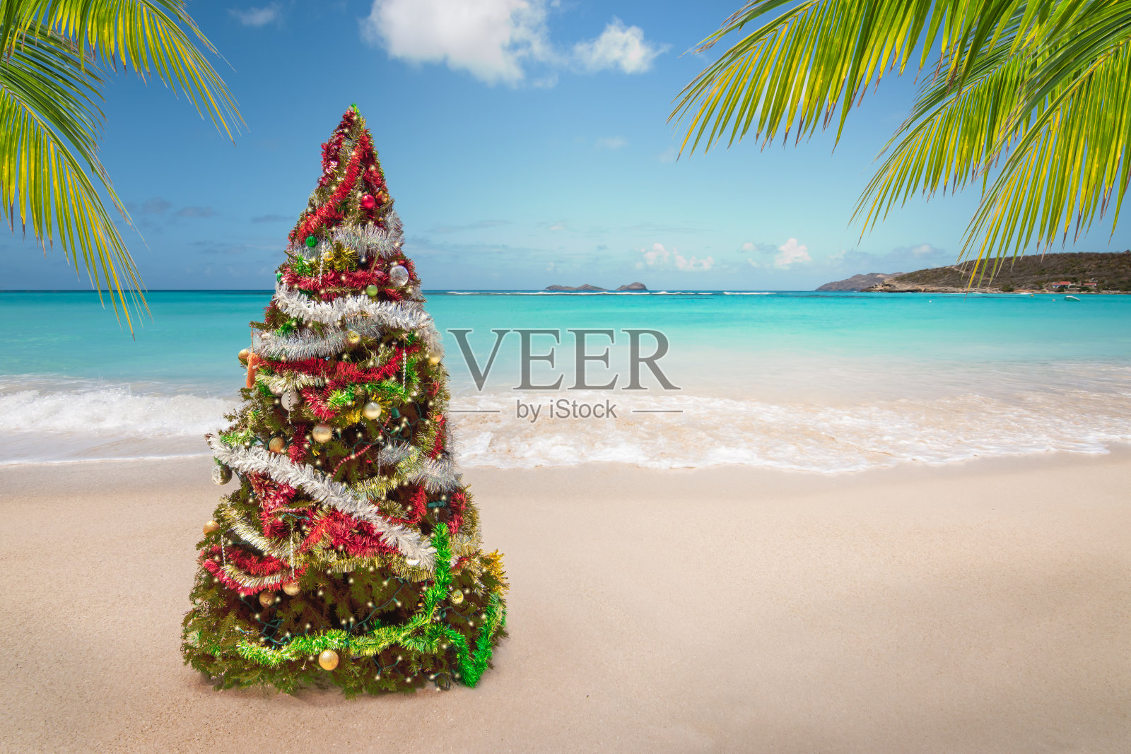 海滩上的圣诞树。热带暑假。照片摄影图片