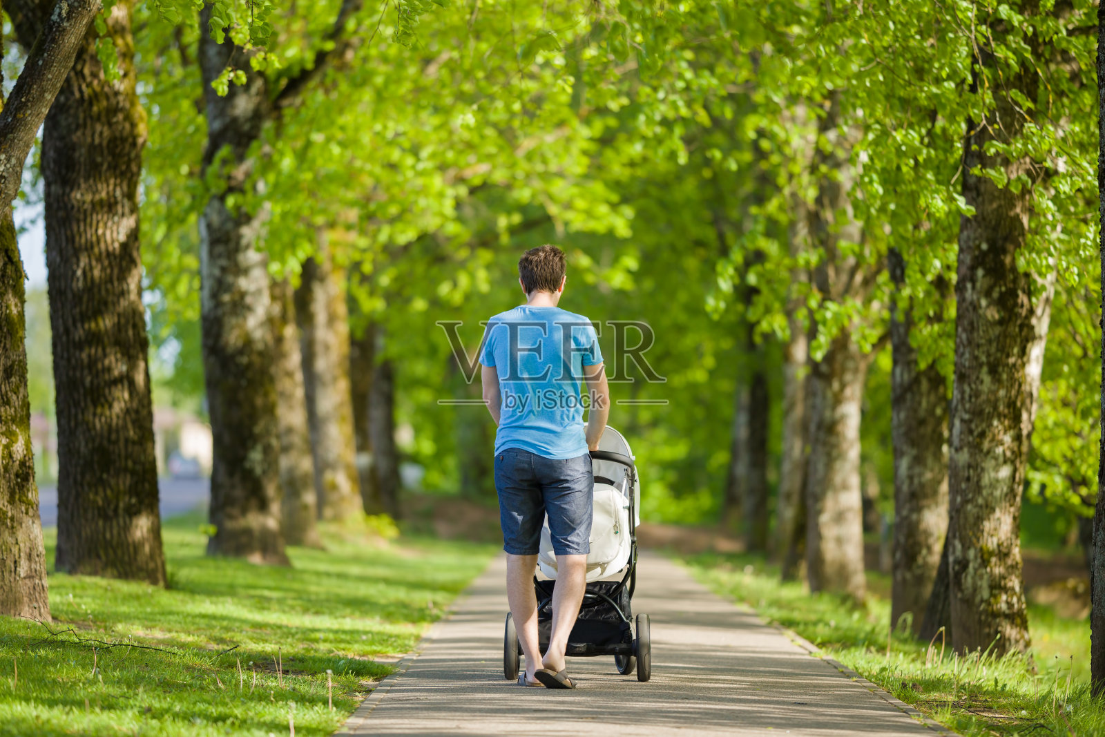 年轻的父亲推着白色的婴儿车，慢慢地走过绿树小巷，在温暖，阳光灿烂的夏日。花时间陪婴儿，呼吸新鲜空气。享受漫步。后视图。照片摄影图片