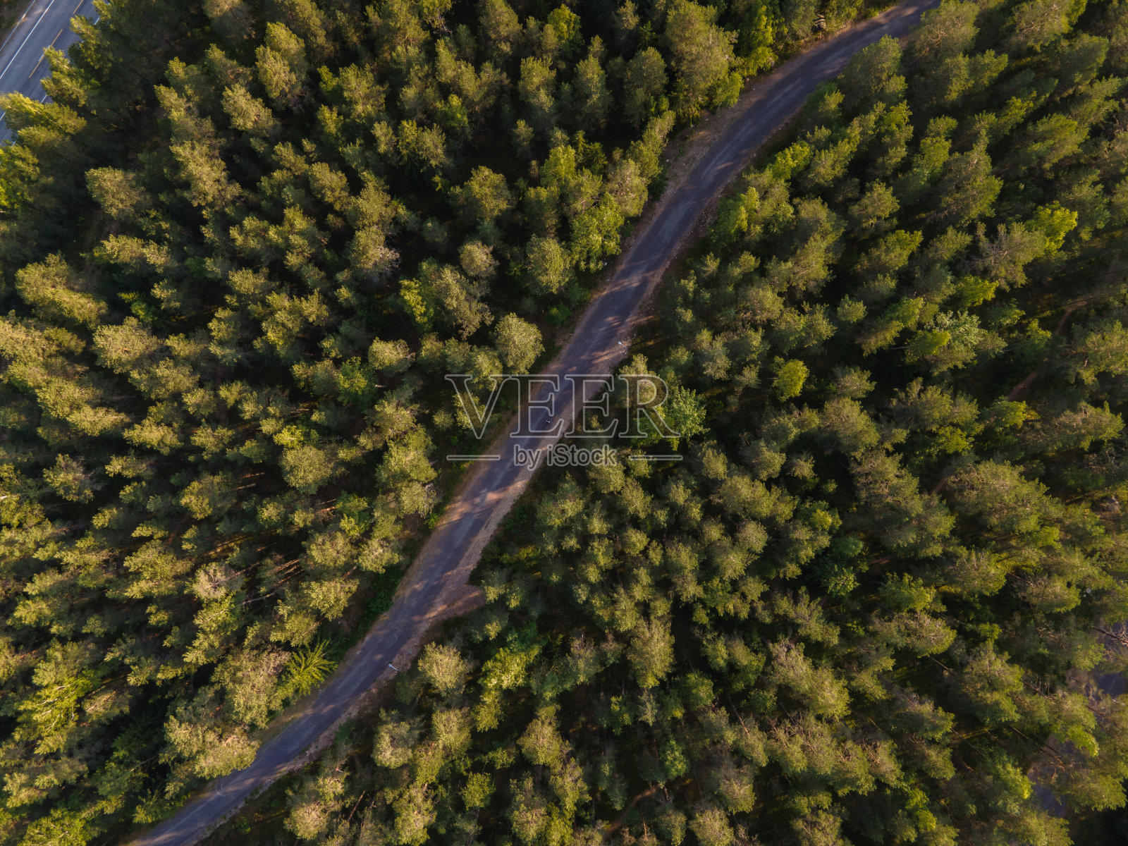 田园诗般的蜿蜒道路穿过芬兰的翠绿松林照片摄影图片