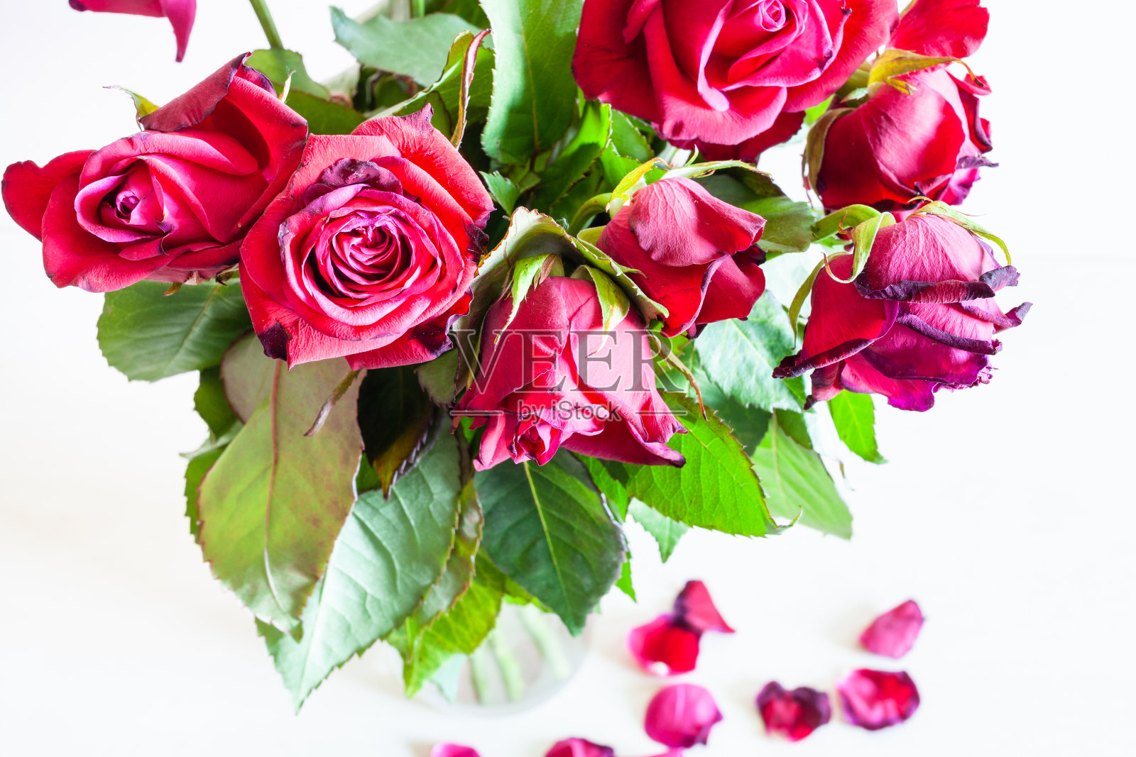 上面的观点，枯萎的红玫瑰花束在花瓶照片摄影图片