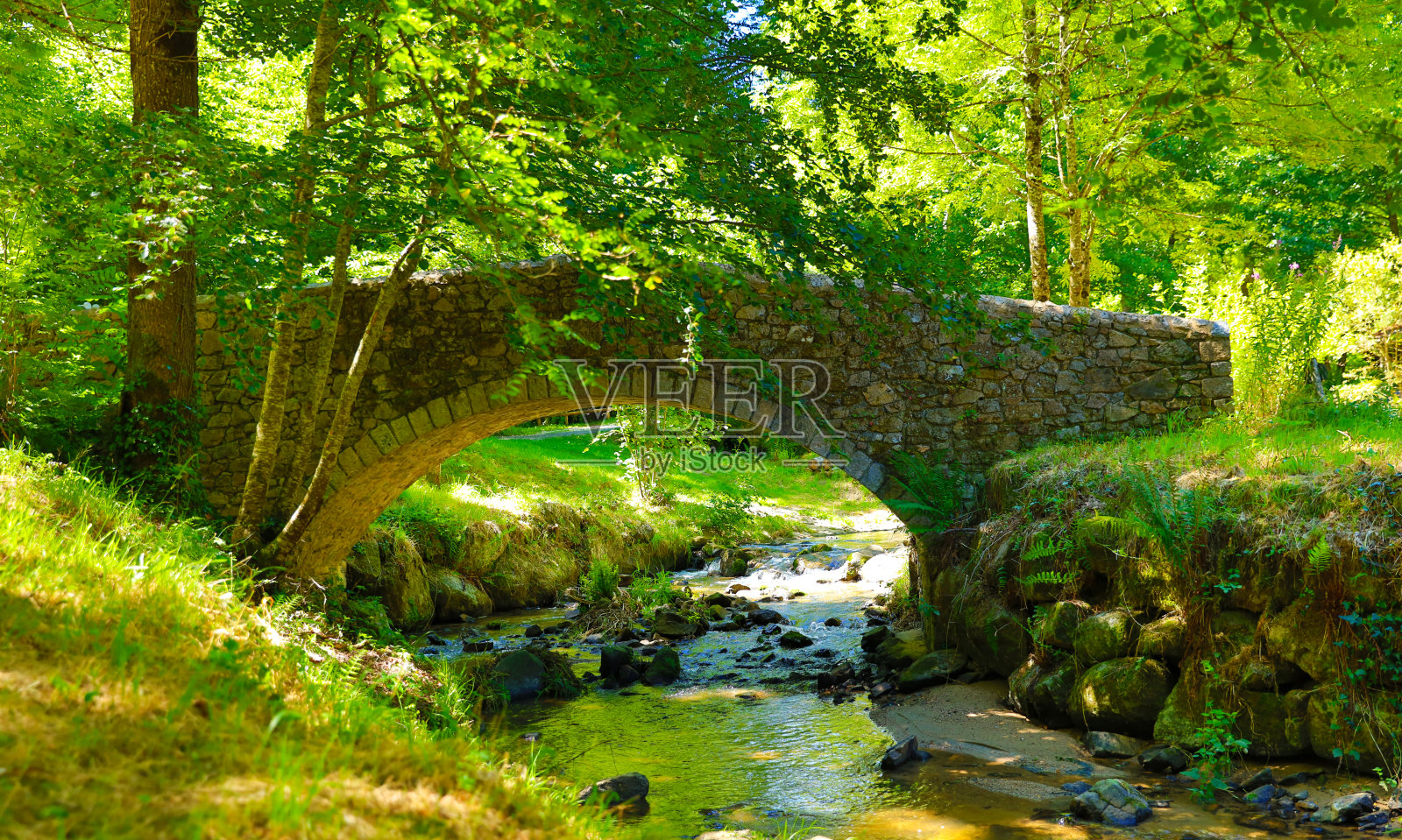 森林里美丽的桥和河——法国的阿维隆照片摄影图片