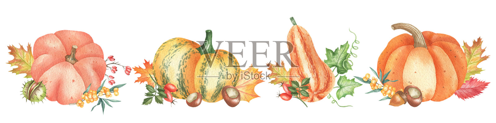 装饰pumpkins.jpg插画图片素材