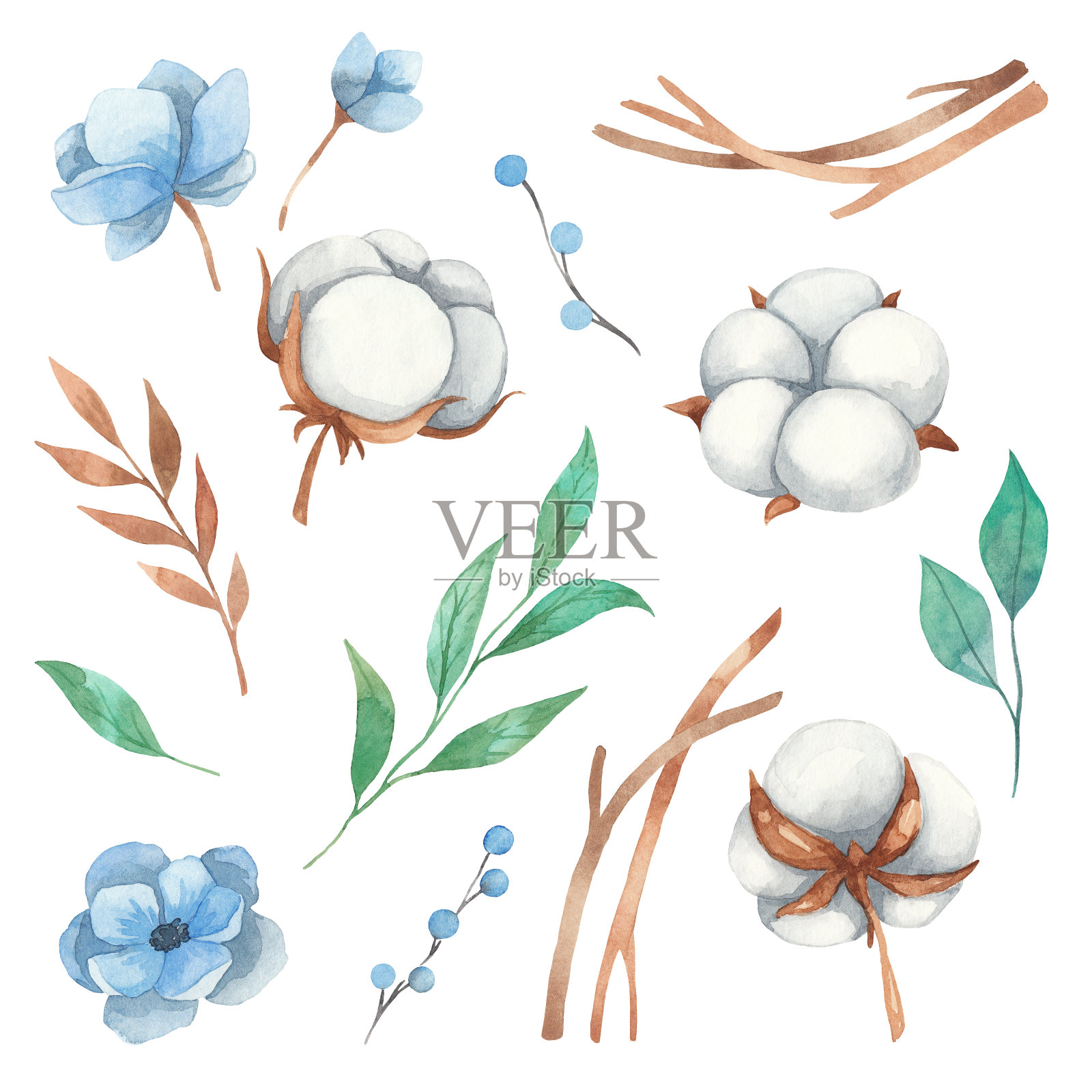 水彩画花卉元素集棉花花，细枝，蓝色的花。水彩元素孤立的白色背景设计元素图片