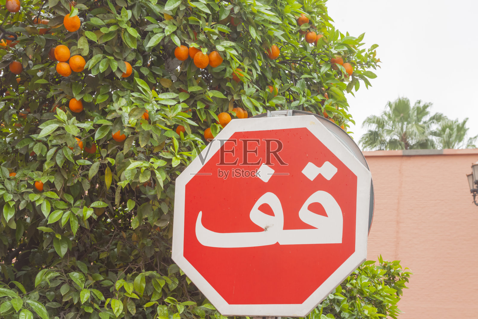 非洲，摩洛哥，停止路标的阿拉伯语照片摄影图片