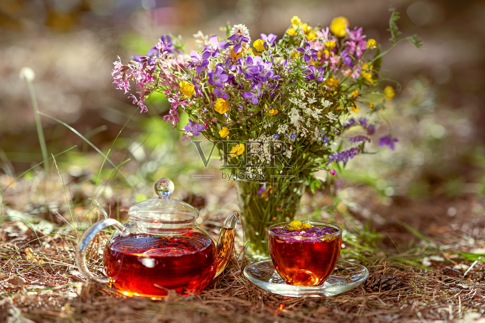 茶杯和茶壶在大自然的森林里照片摄影图片