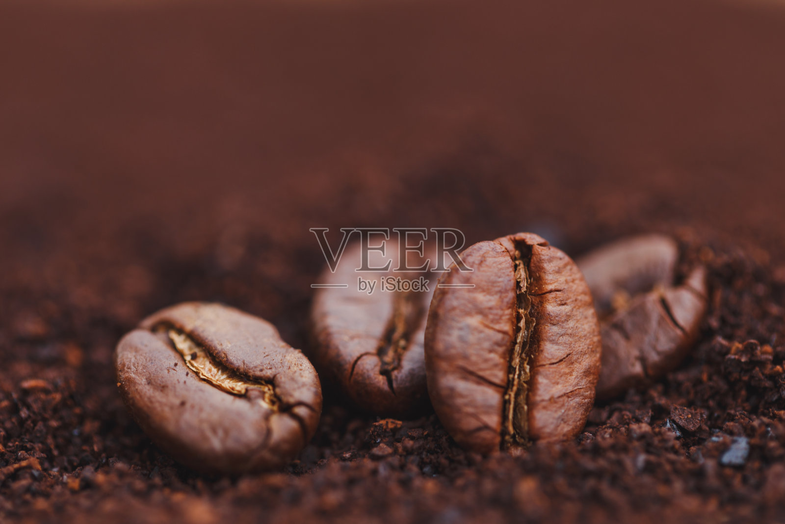 咖啡粉背景上的咖啡豆照片摄影图片