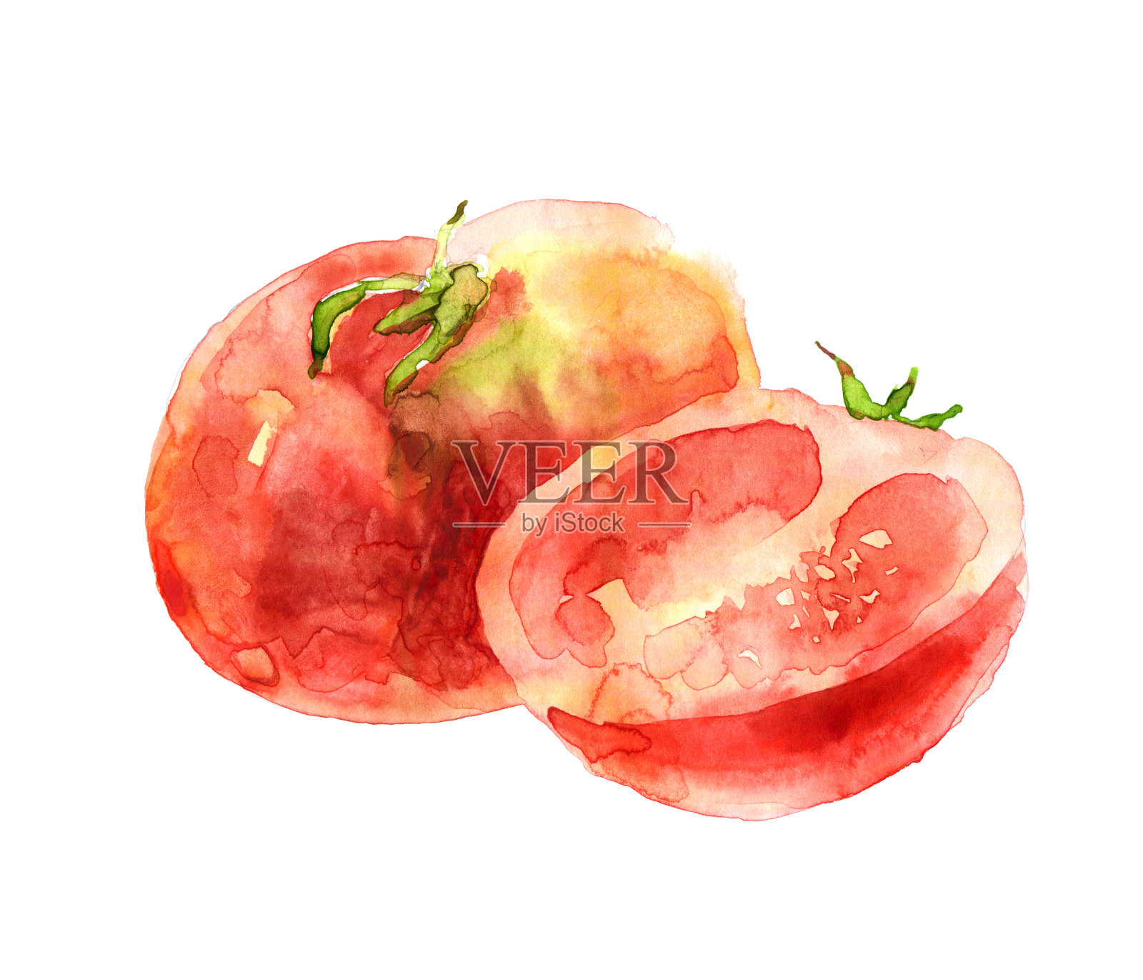 水彩西红柿在白色的背景插画图片素材