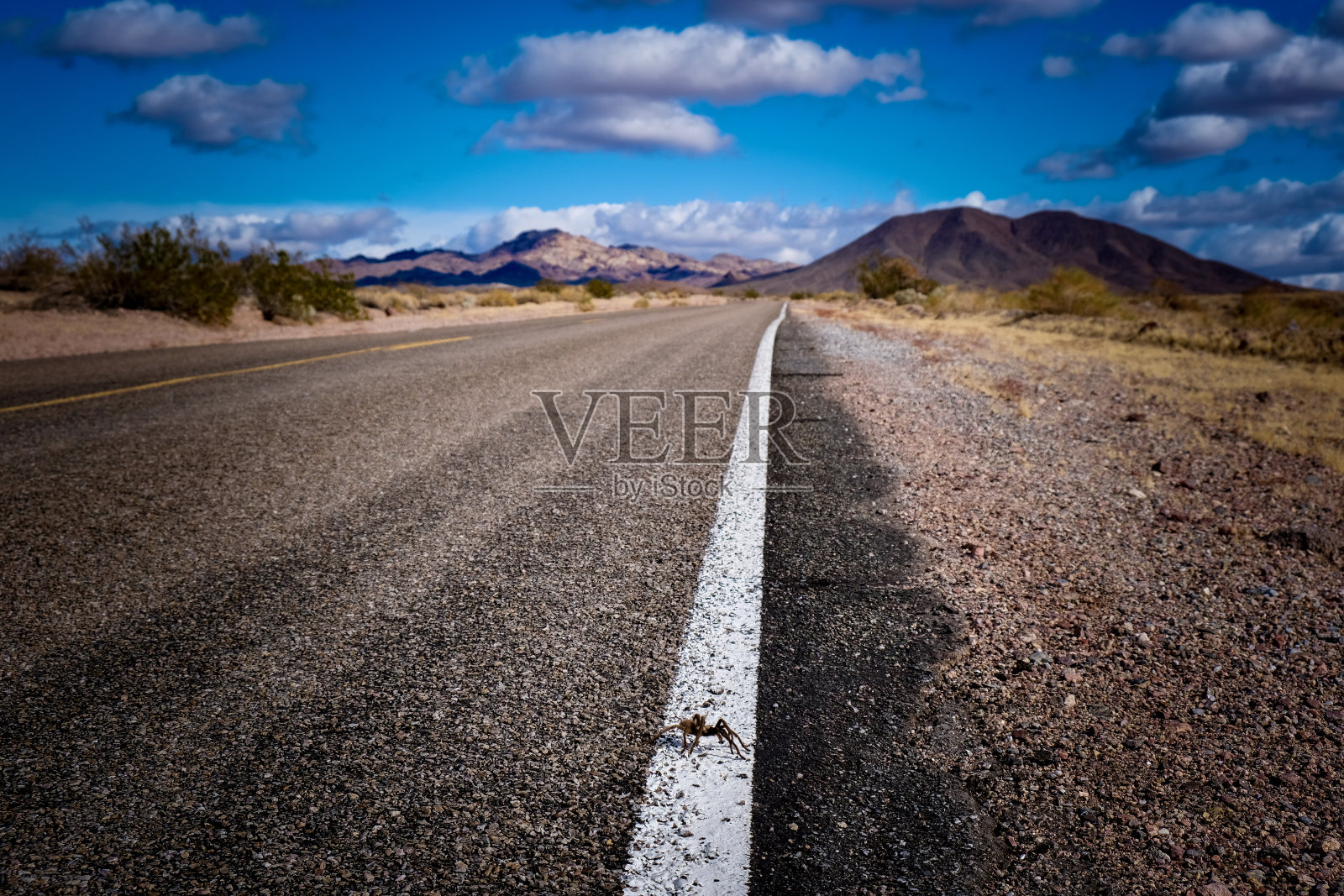 死亡谷国家公园照片摄影图片