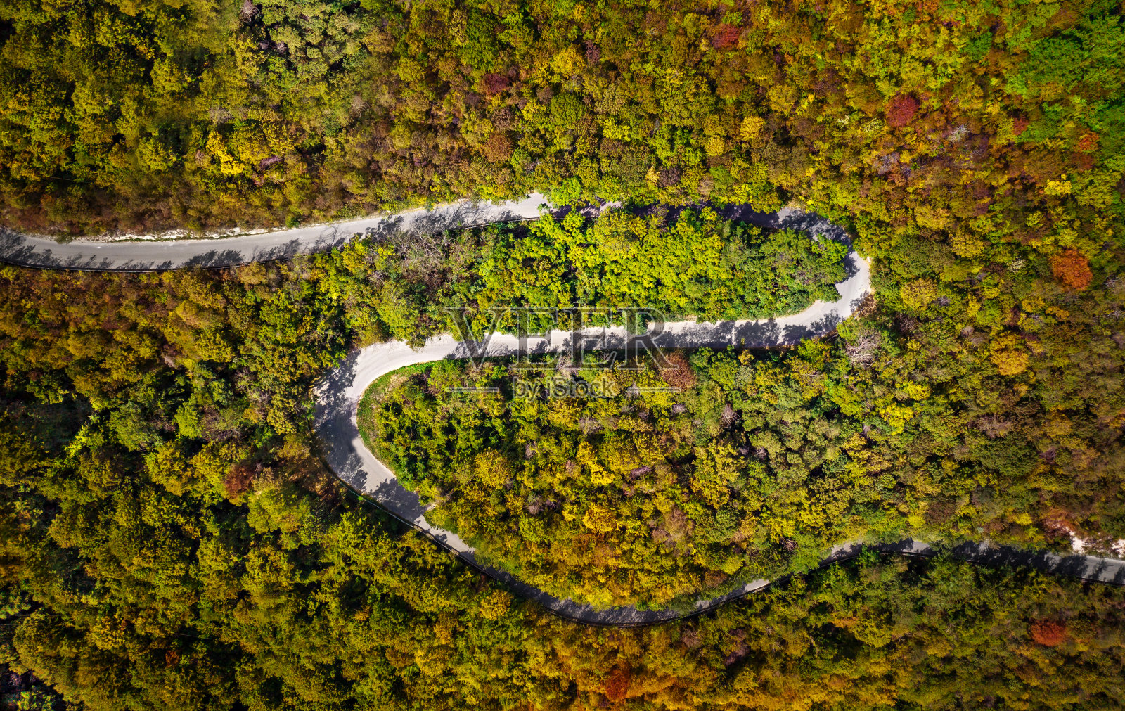 弯弯曲曲的道路被秋日的森林包围。弯曲道路鸟瞰图。照片摄影图片