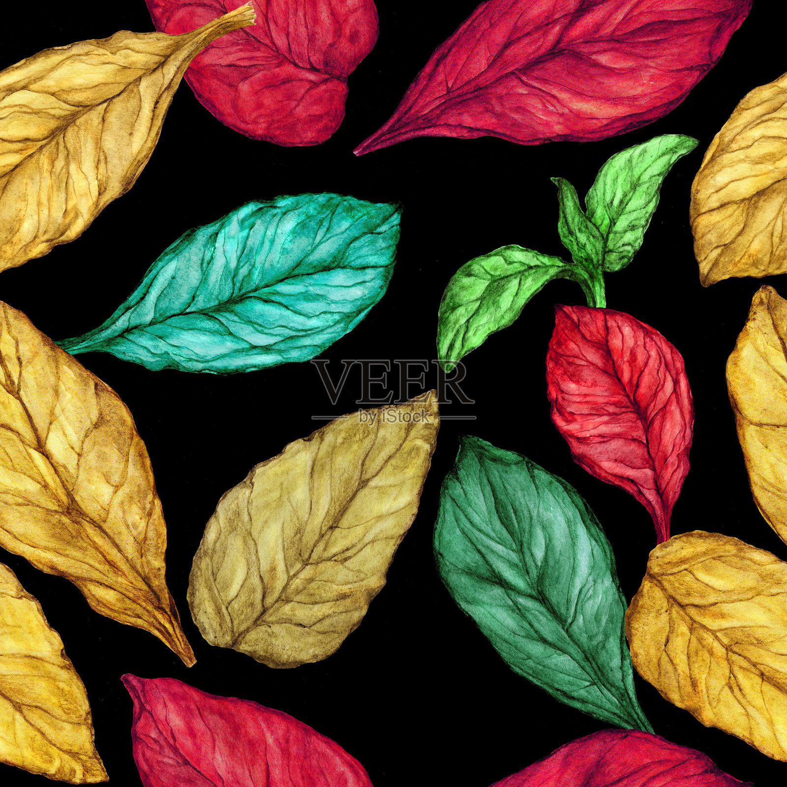 水彩无缝图案的秋叶插画图片素材