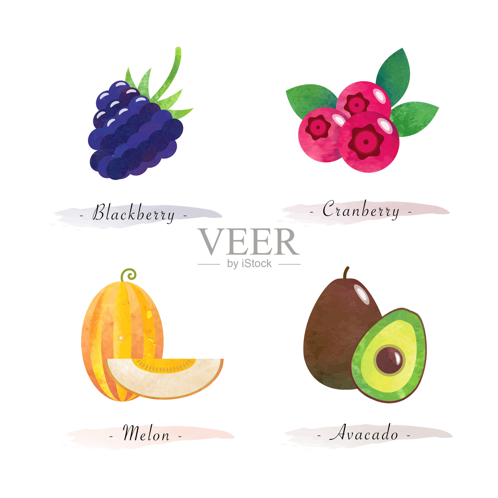有机天然健康食品水果黑莓蔓越莓瓜鳄梨插画图片素材