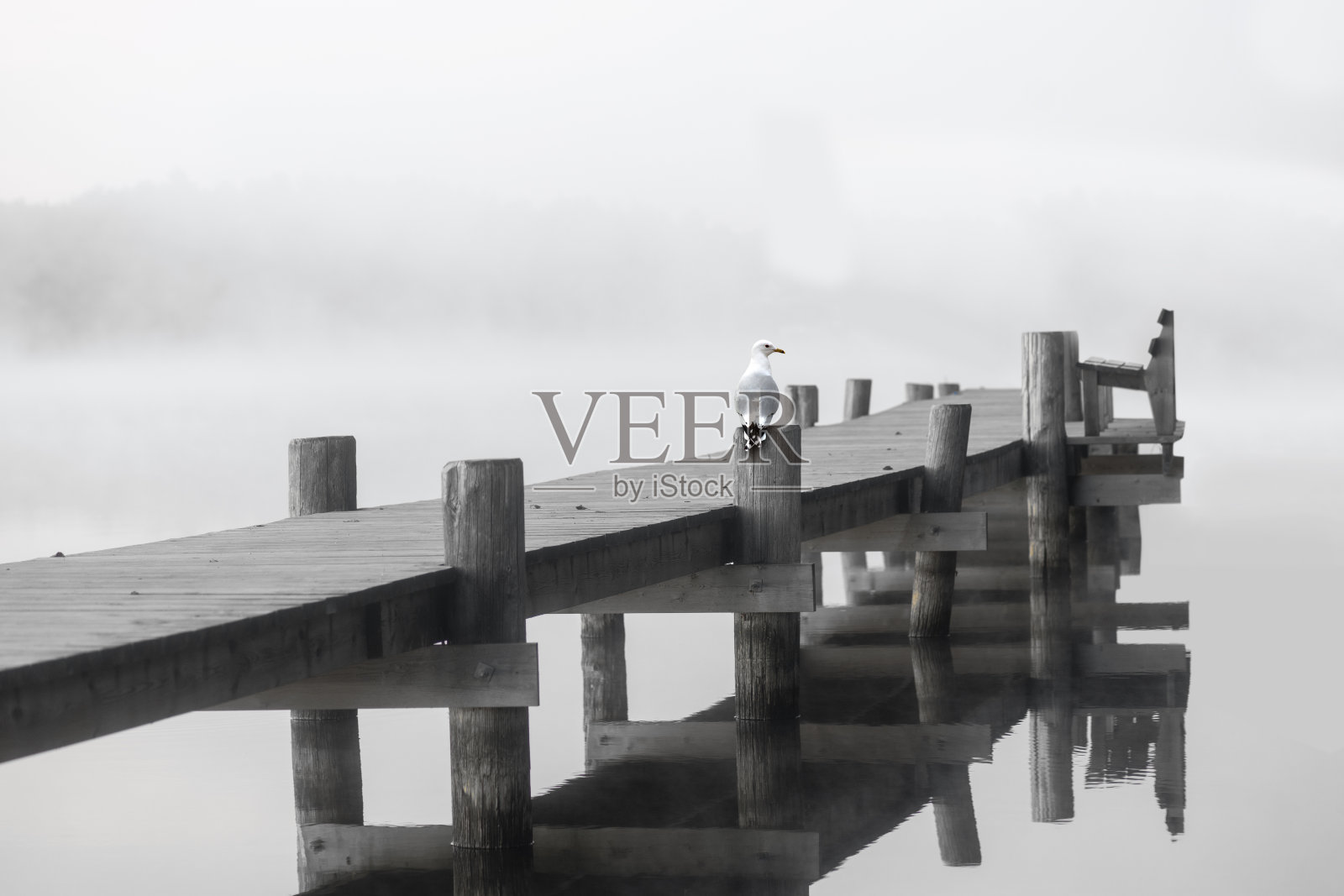 在有雾的日子平静的湖面上的木制码头照片摄影图片