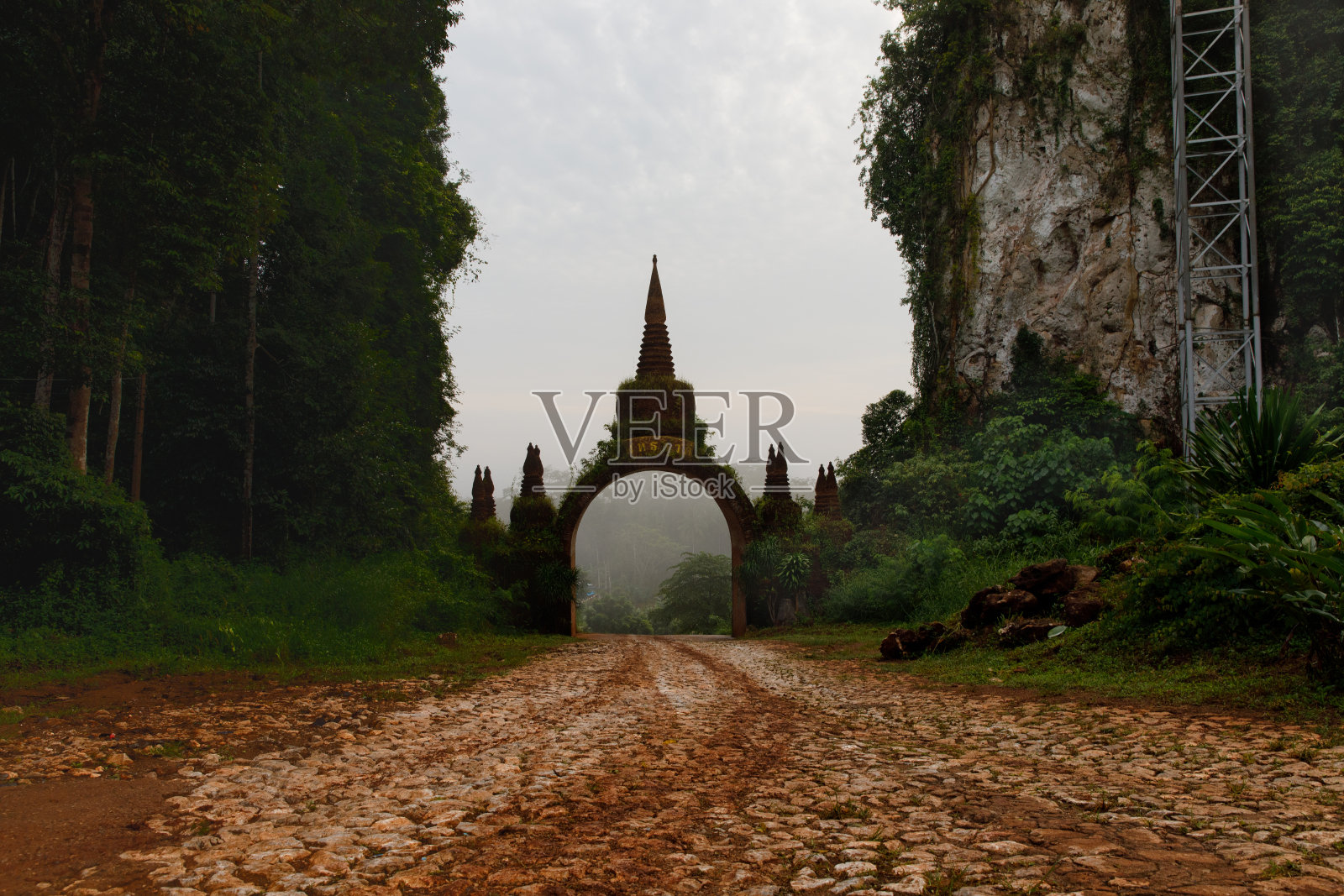 泰国素拉塔尼省考纳奈朗佛法公园照片摄影图片