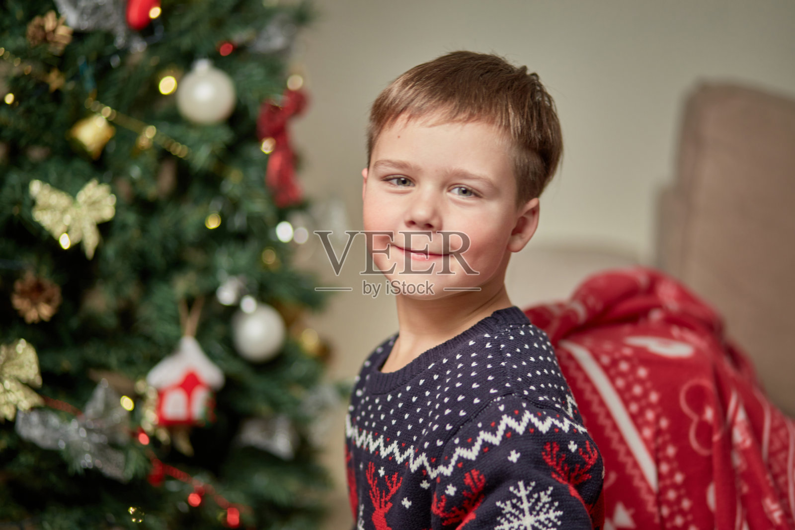 圣诞树背景上的一个男孩的肖像。看着摄像机。照片摄影图片