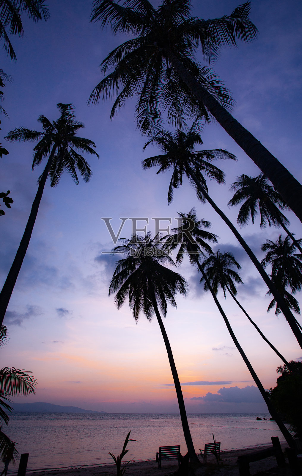 黄昏时分，泰国帕岸岛里拉海滩上的棕榈树。照片摄影图片
