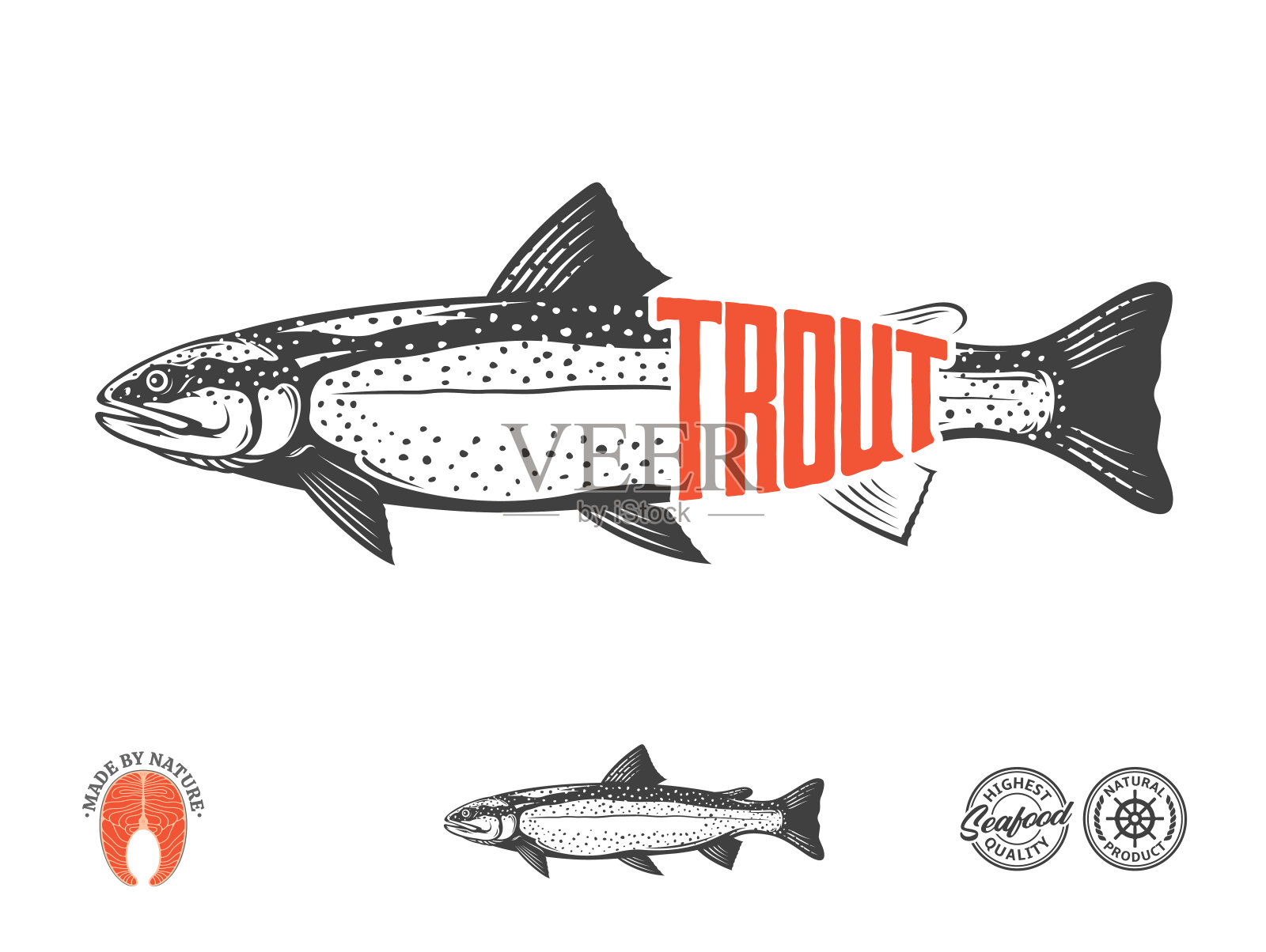 矢量鳟鱼标签插画图片素材