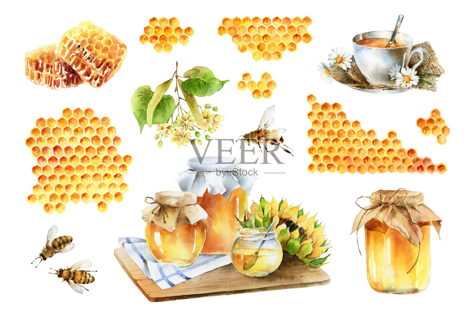 以蜂蜜为主题的大型水彩画插画图片素材