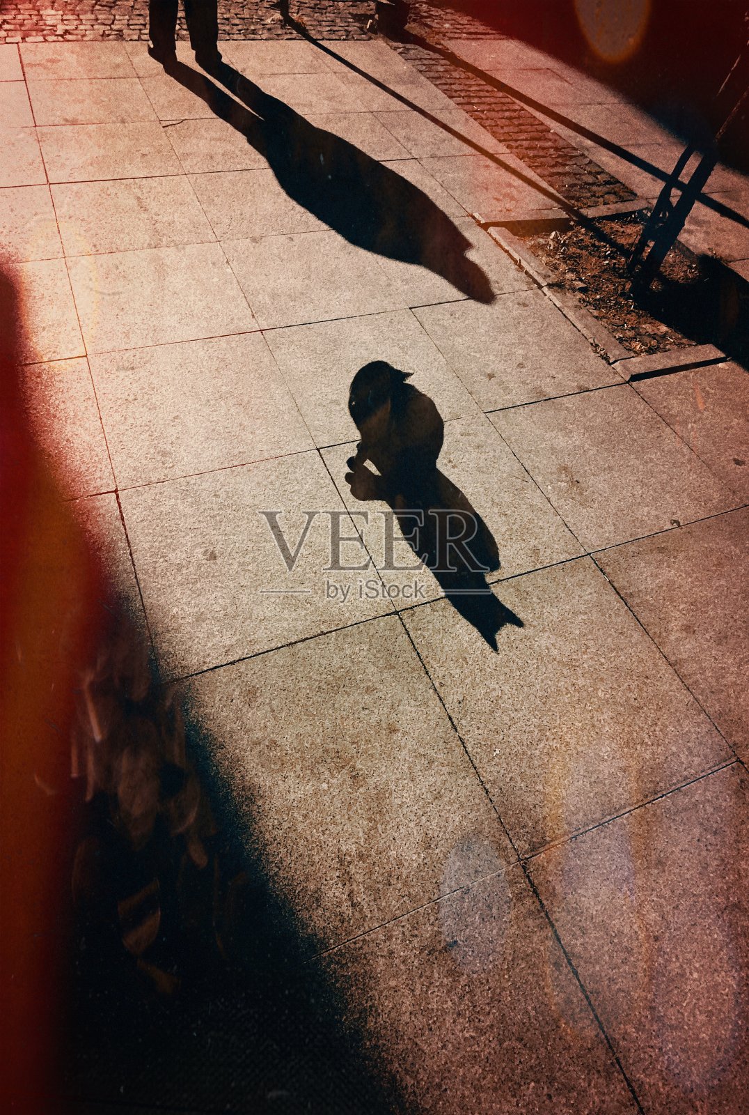 流浪猫和街上一个男人的影子。照片摄影图片