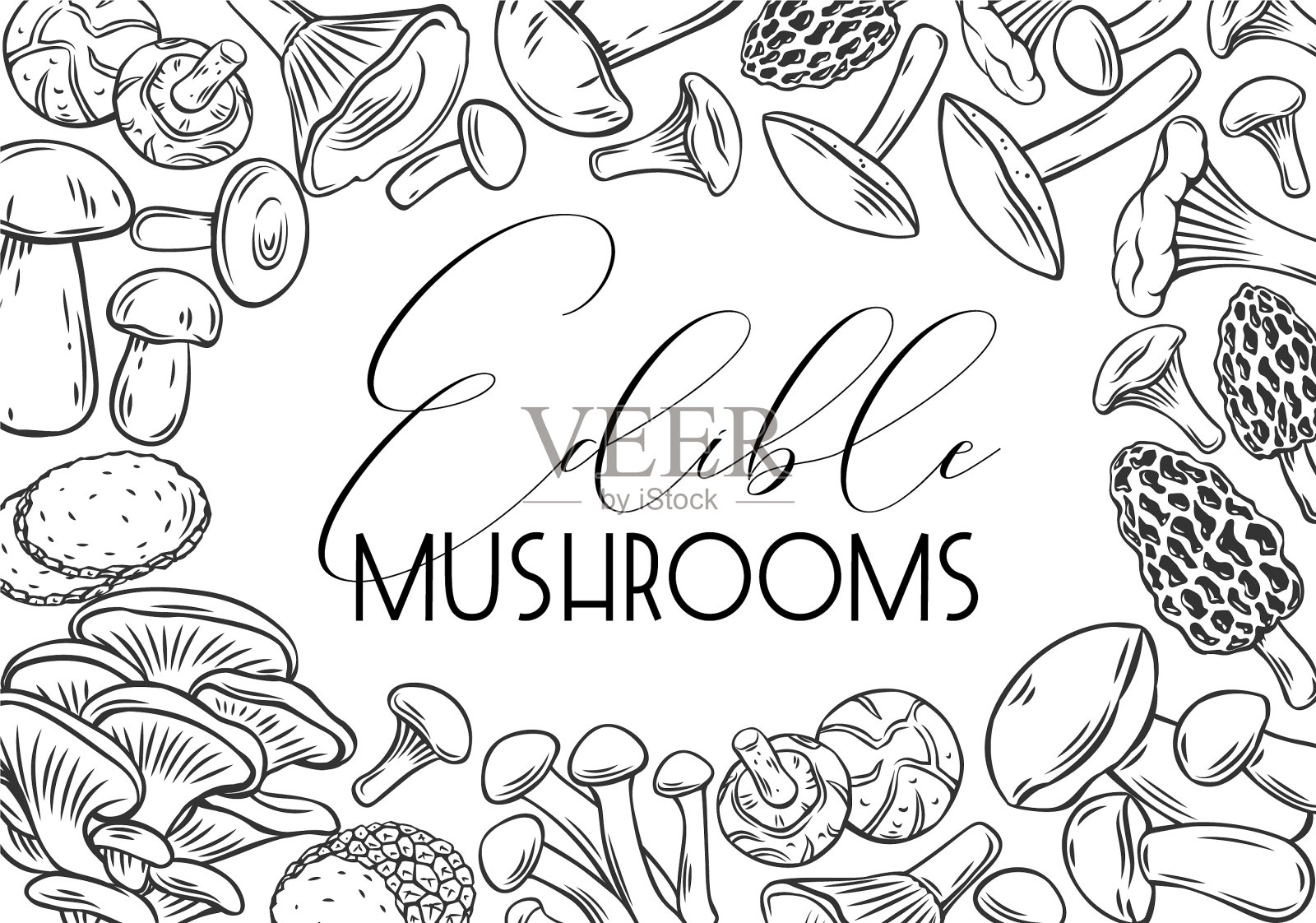 手绘食用蘑菇插画图片素材