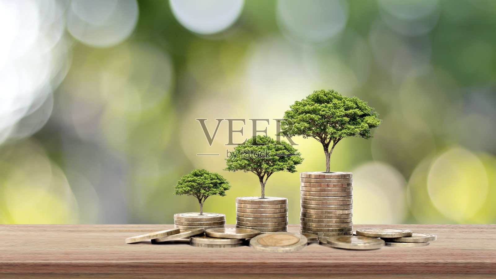 这棵树生长在一堆钱上的木桌和自然背景，金融投资和经济扩张的概念。照片摄影图片