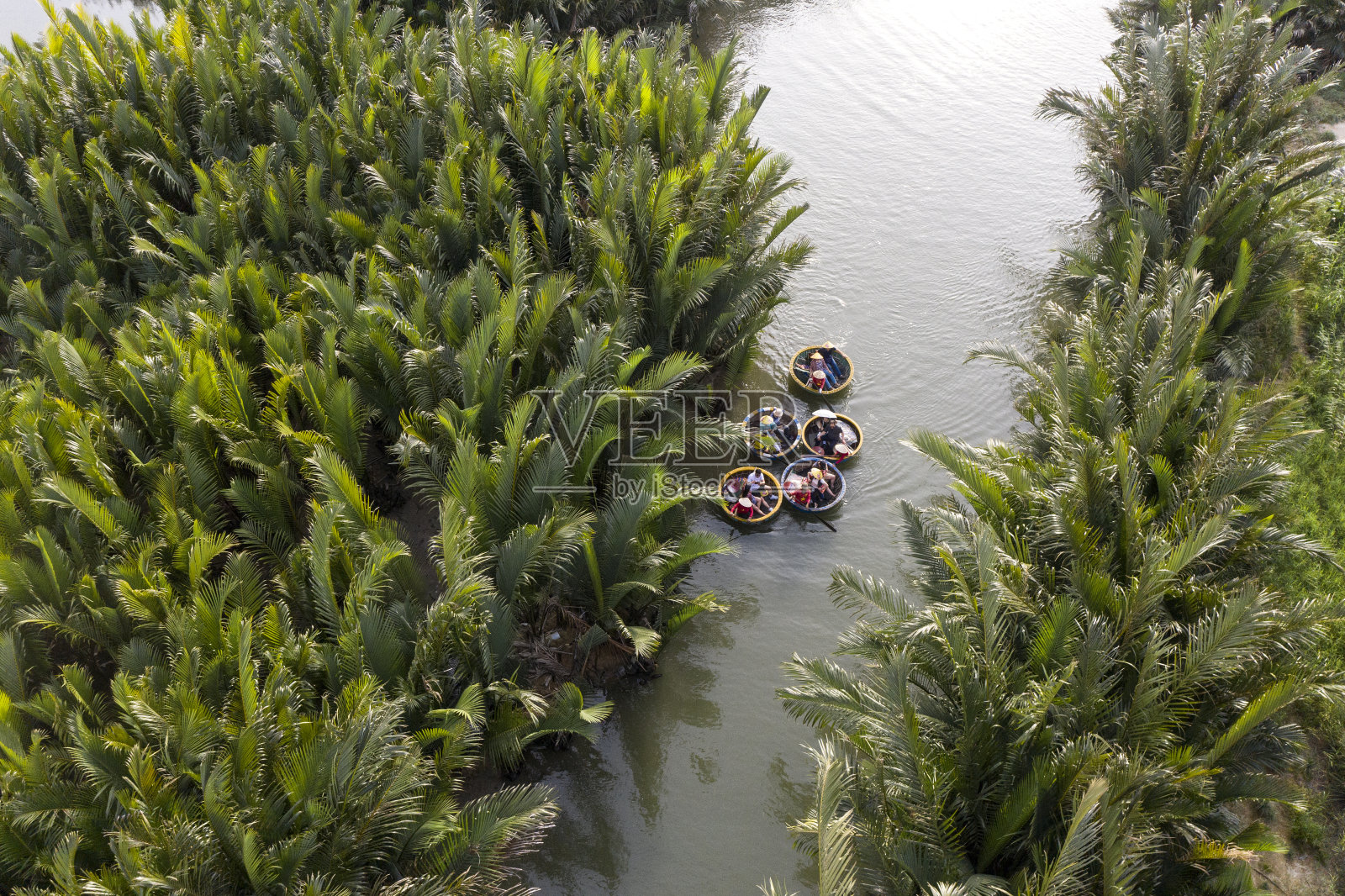 鸟瞰图，游客在游船游览椰子树(红树林)森林，在Cam Thanh村，会安，广南，越南照片摄影图片
